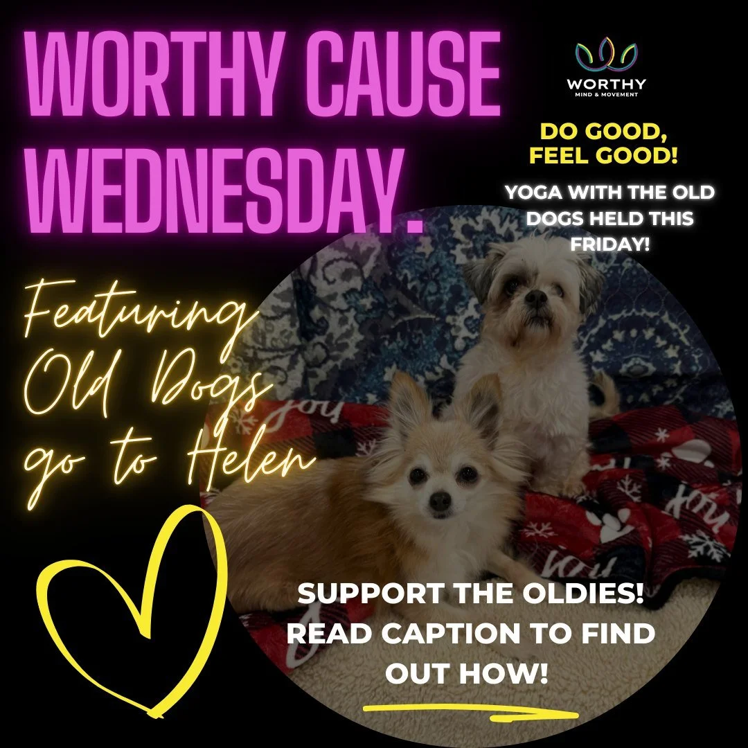 This Worthy Cause Wednesday, we are calling attention to Old Dogs Go to Helen - a save haven and hospice for senior/special-needs pups. 🐾

This incredible org provides truly whatever these dogs need to make them feel unconditionally loved &amp; supp