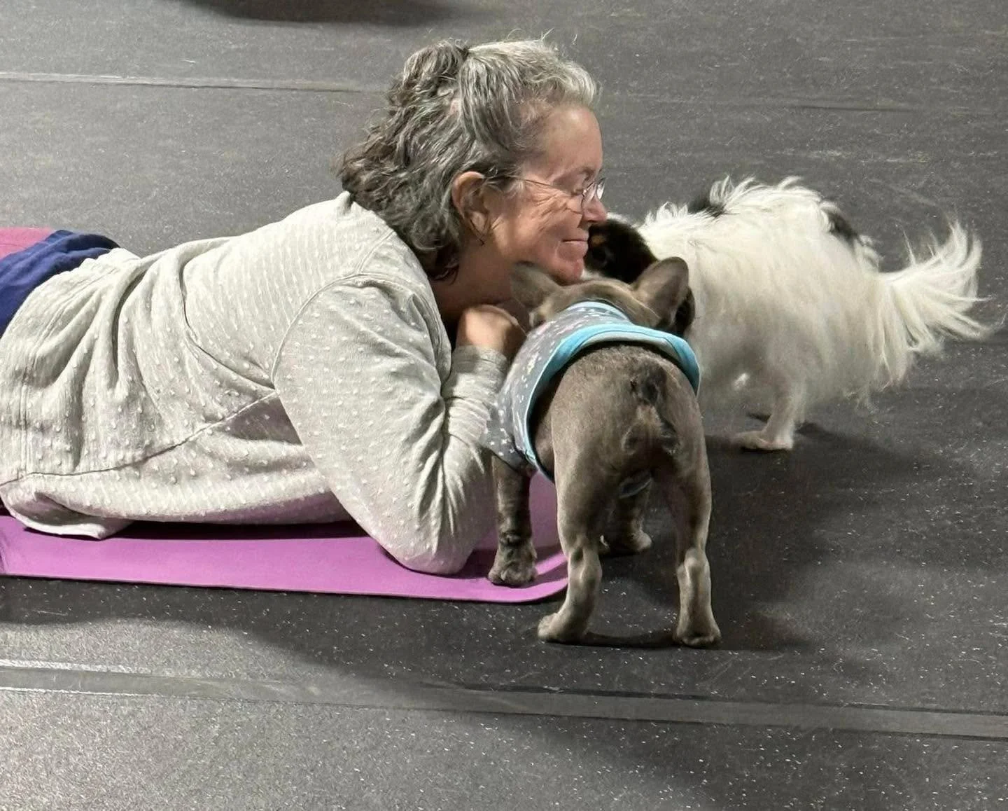 Doggone it: we had the best time last Friday instructing Yoga with the Old Dogs (and a few younger pals) to benefit Old Dogs Go To Helen! 🐶

We raised more than $500 to go directly back toward this amazing nonprofit &amp; safe haven for pups at end-