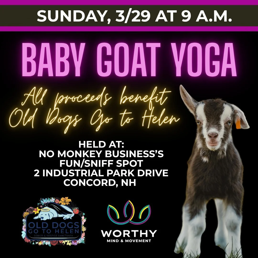 Play with baby goats AND support dogs in need?!? You goat it, babe! 😘

Join Cassie from Worthy on Sunday, 3/29 at 9 a.m. for a total bucket-list experience: Baby Goat Yoga. 

We aren't kiddin' ya! What to expect:
🧘&zwj;♀️ A 60-minute fun &amp; basi