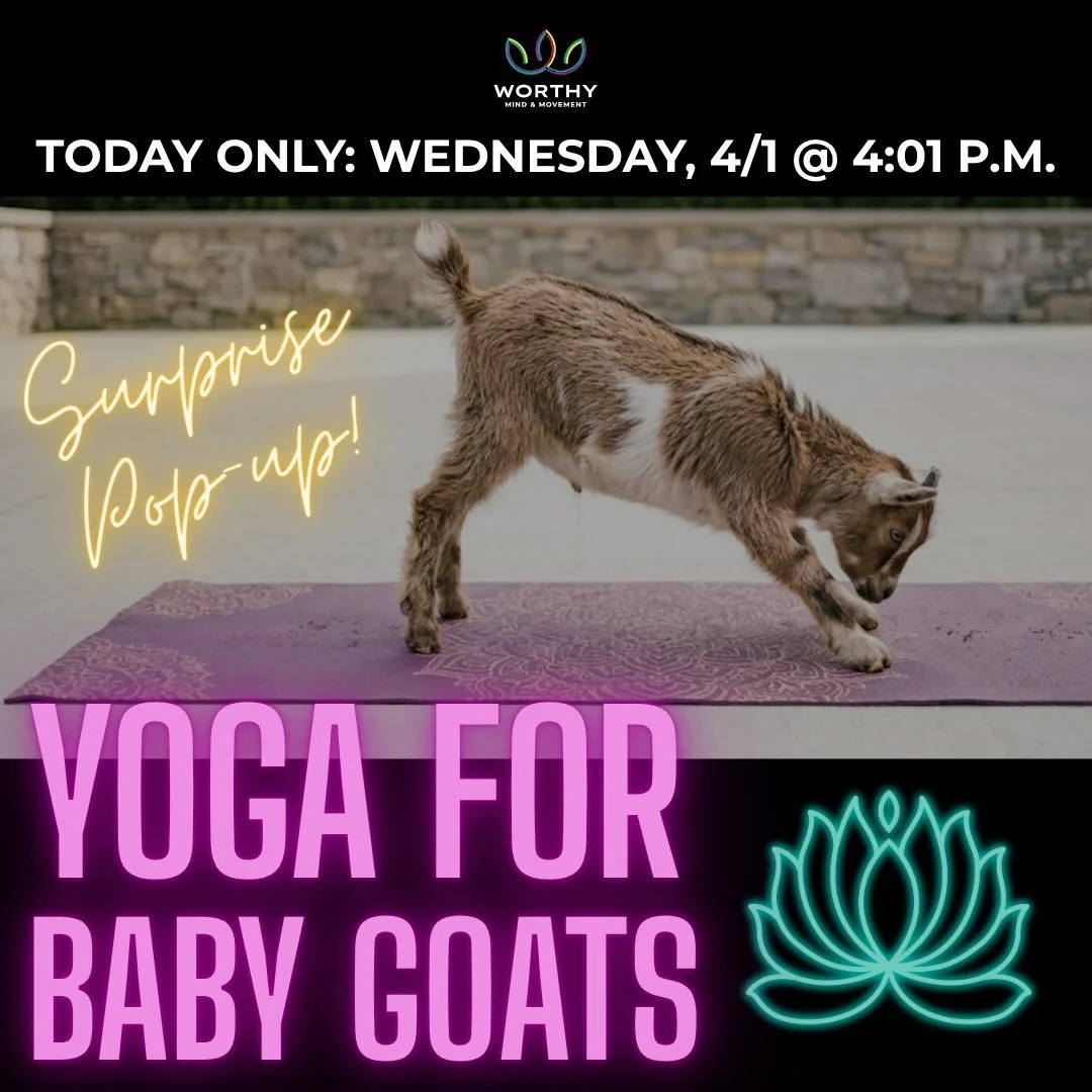 Baby Goat Yoga: Now It&rsquo;s Their Turn! 🐐🧘&zwj;♂️

After recently hosting yoga with baby goats, the feedback was clear: the goats felt deeply involved but ultimately underrepresented in the actual instruction. So by popular demand (mostly from t