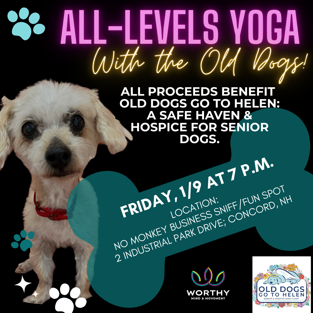 dog yoga concord nh
