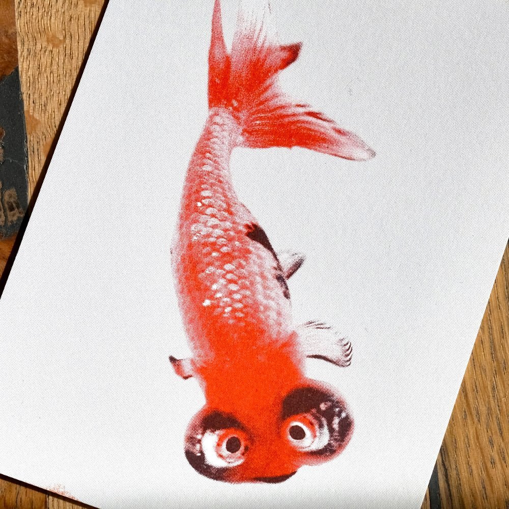 Today&rsquo;s #objectofreverence is a big bubble eyed goldfish postcard. @bienvenuestudios 
#objectsofreverence #carp #goldfish #design #postcard #postcards