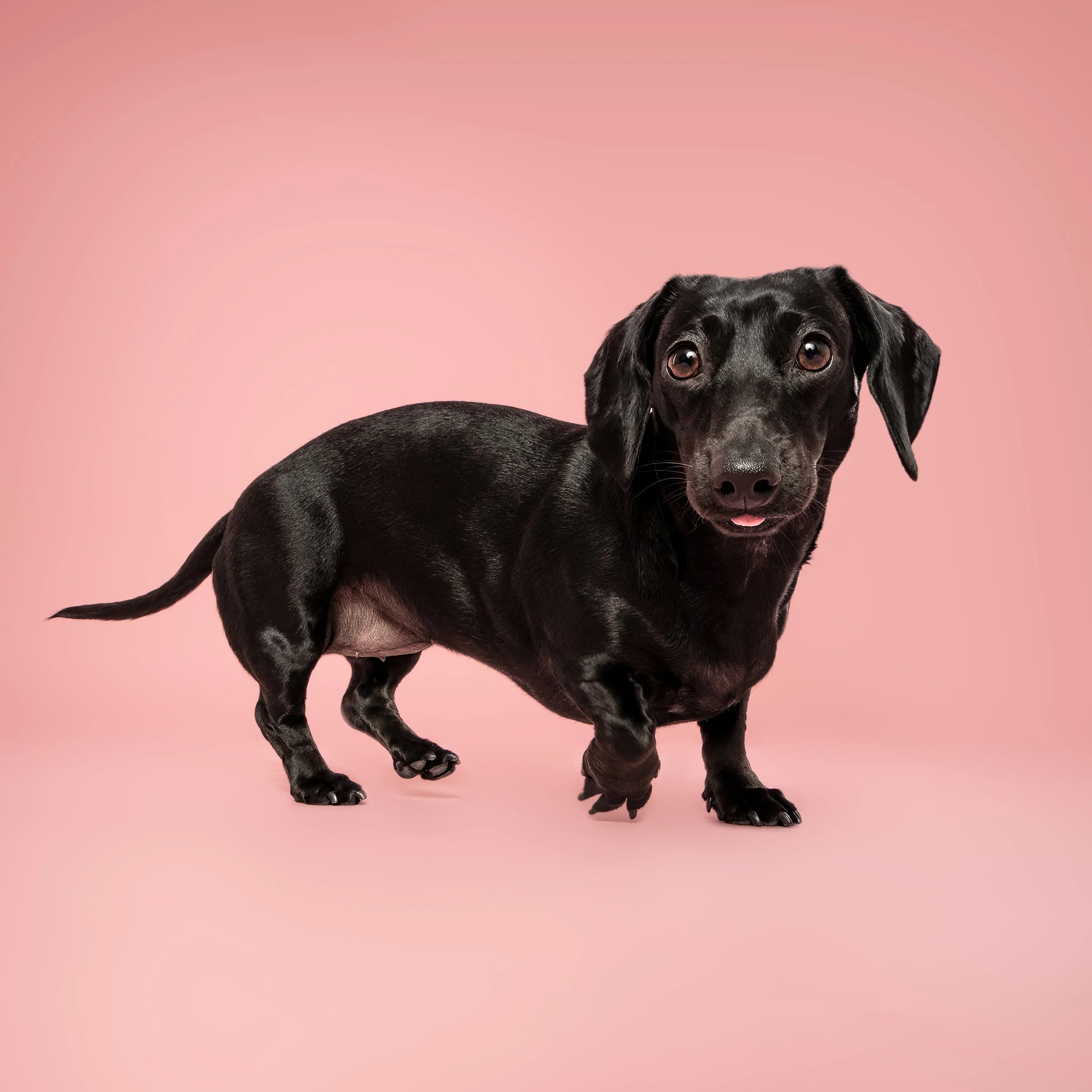 Juno_16 copy square.jpg