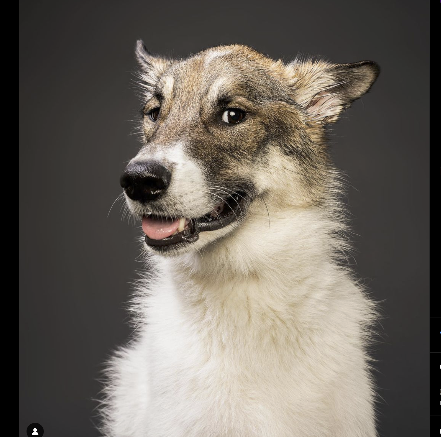 Screenshot 2023-09-27 at 10.40.34 PM.png