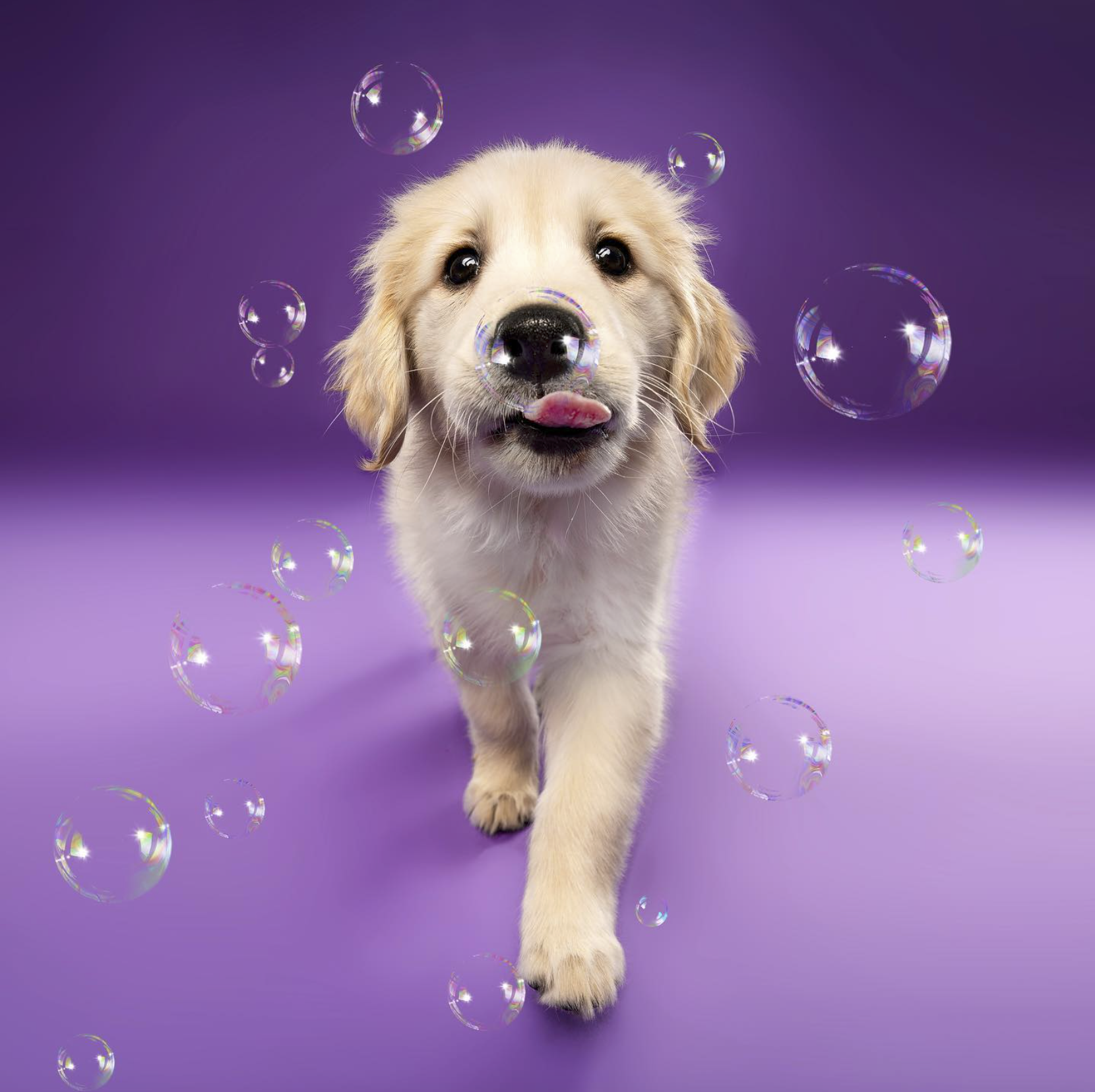 Screenshot 2023-09-27 at 10.34.55 PM.png