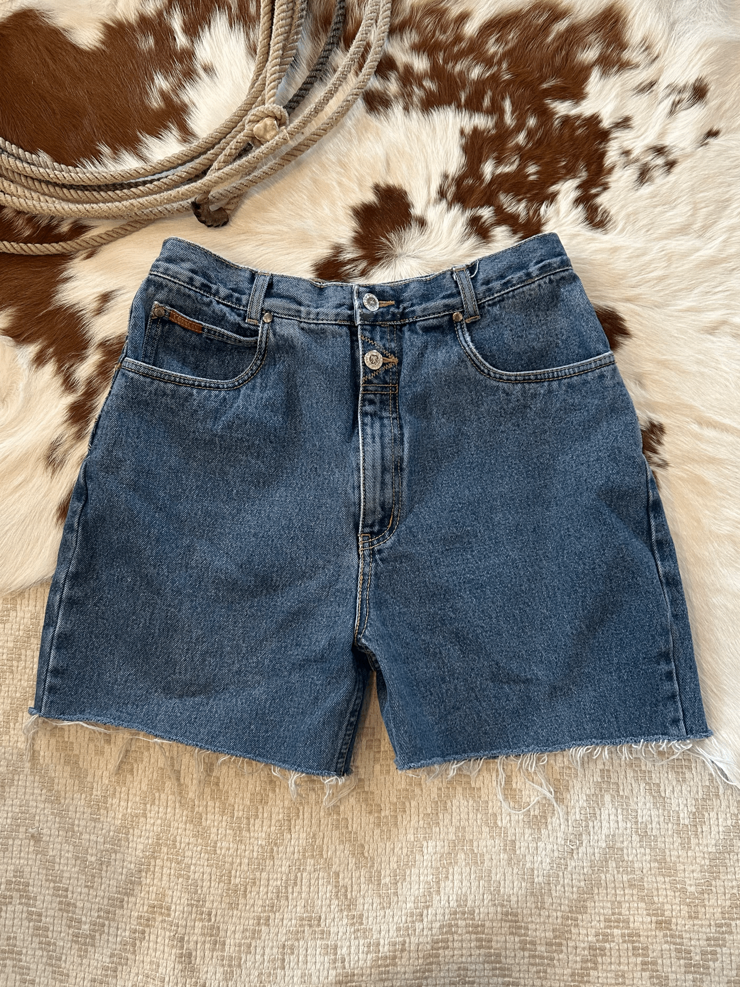 tempImageP4cVuN.gif (Copy)