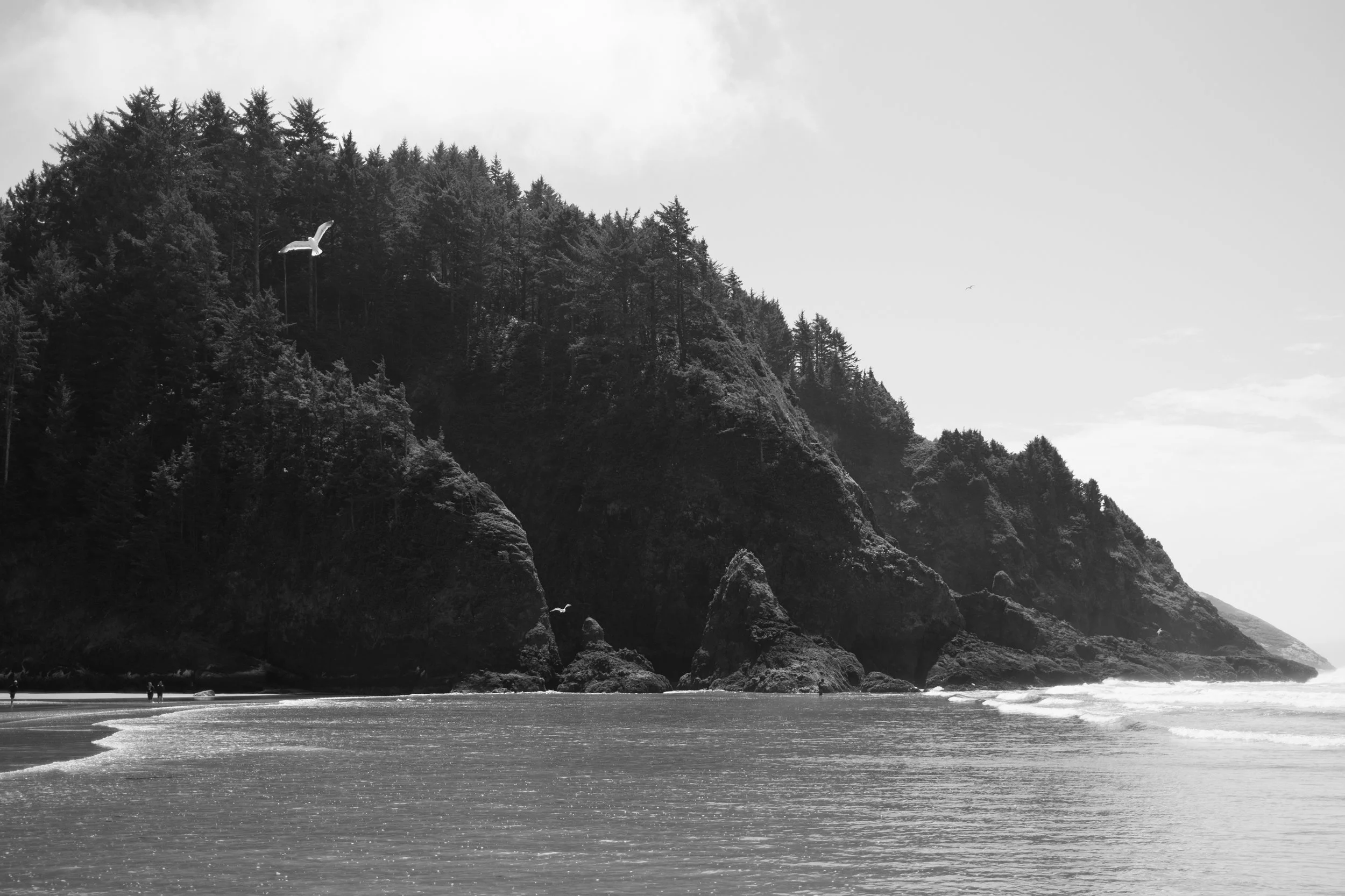 oregon-22.jpg