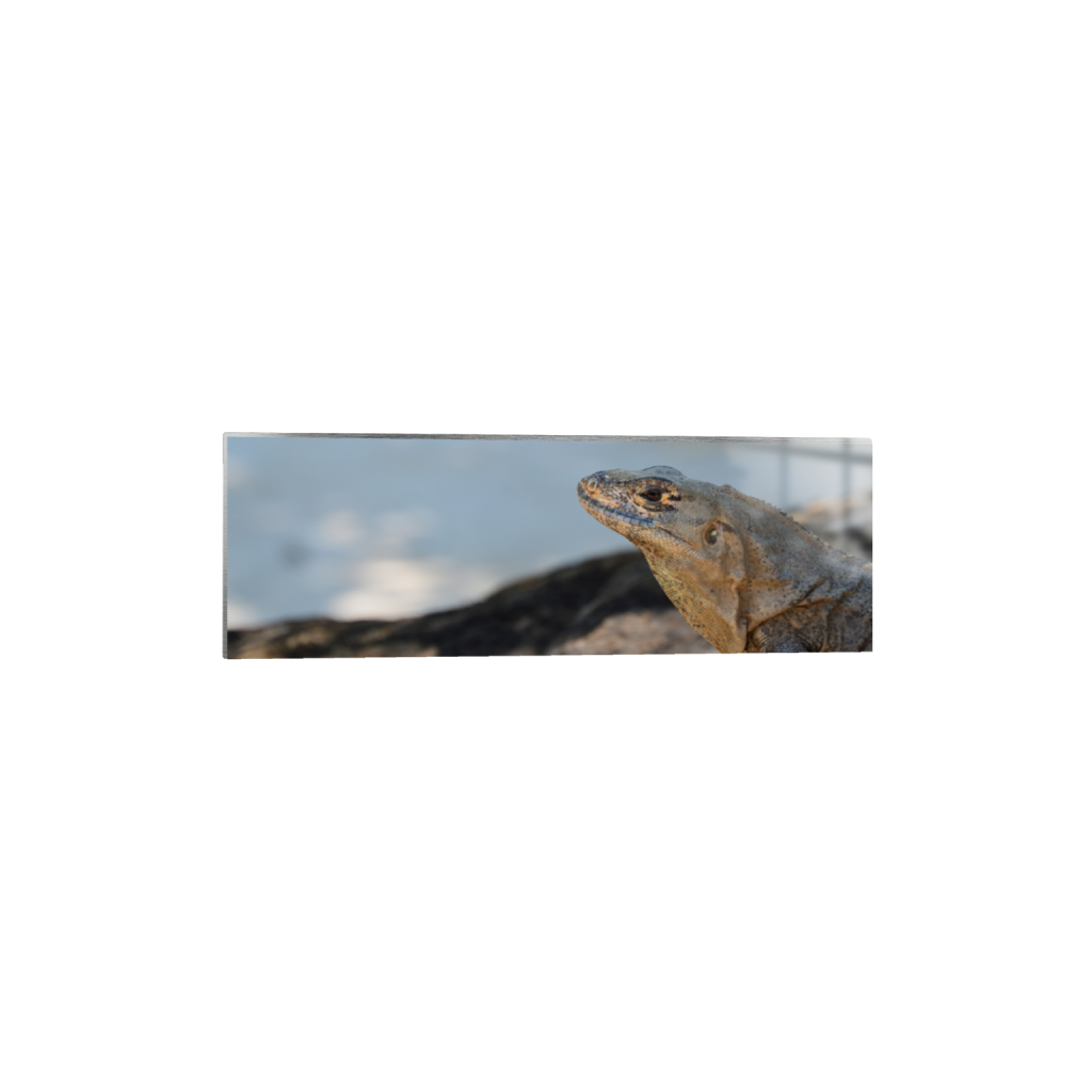 ptq_13_2_0_997_6016_2005_0_false_ffffff_0_0_.png