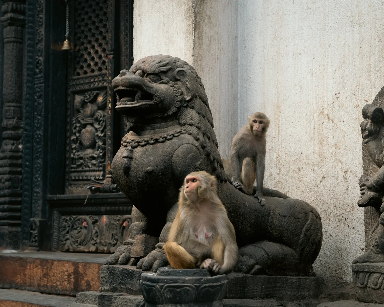 Monkey Temple — Part II — photograph 40