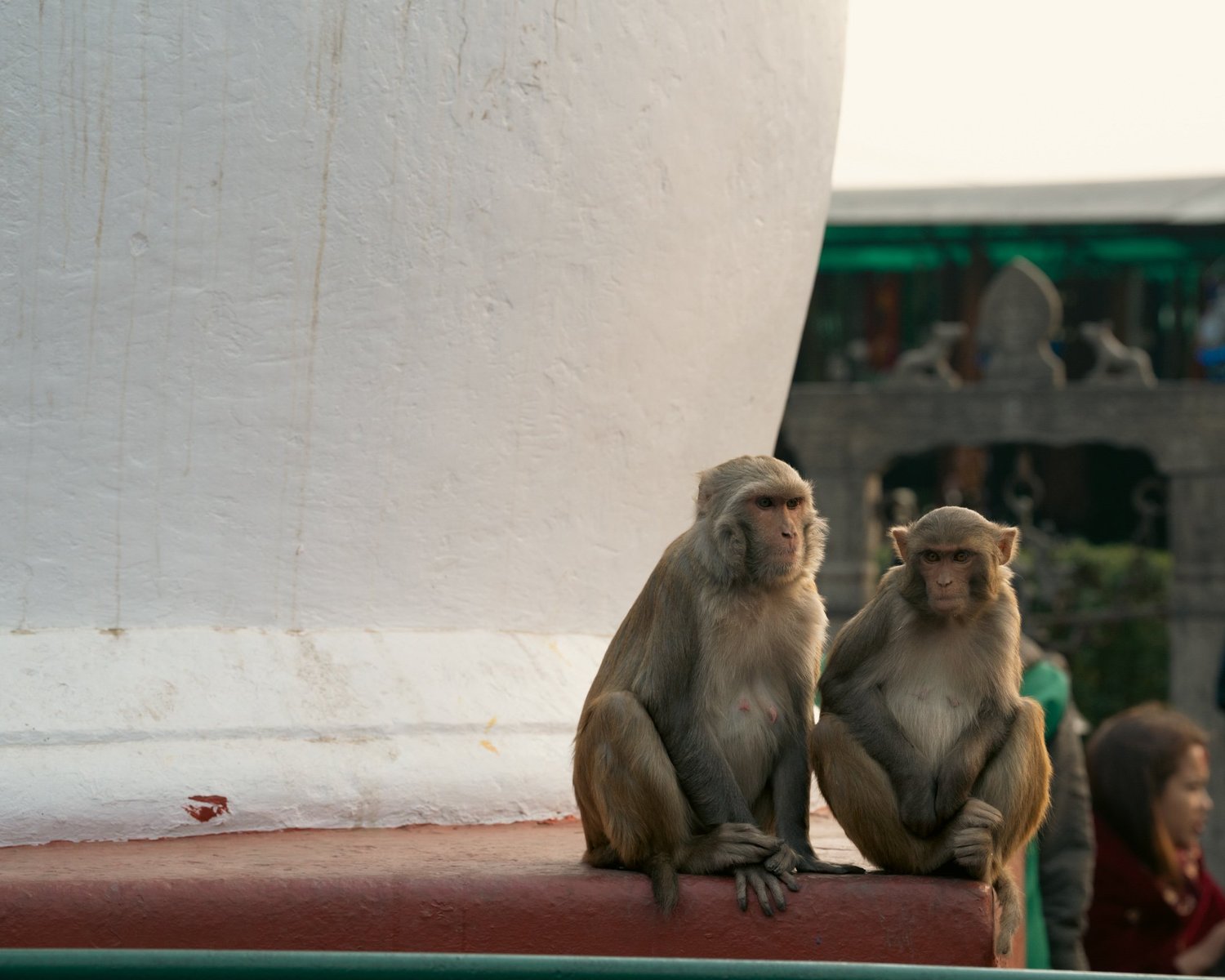 Monkey Temple — Part III — photograph 1
