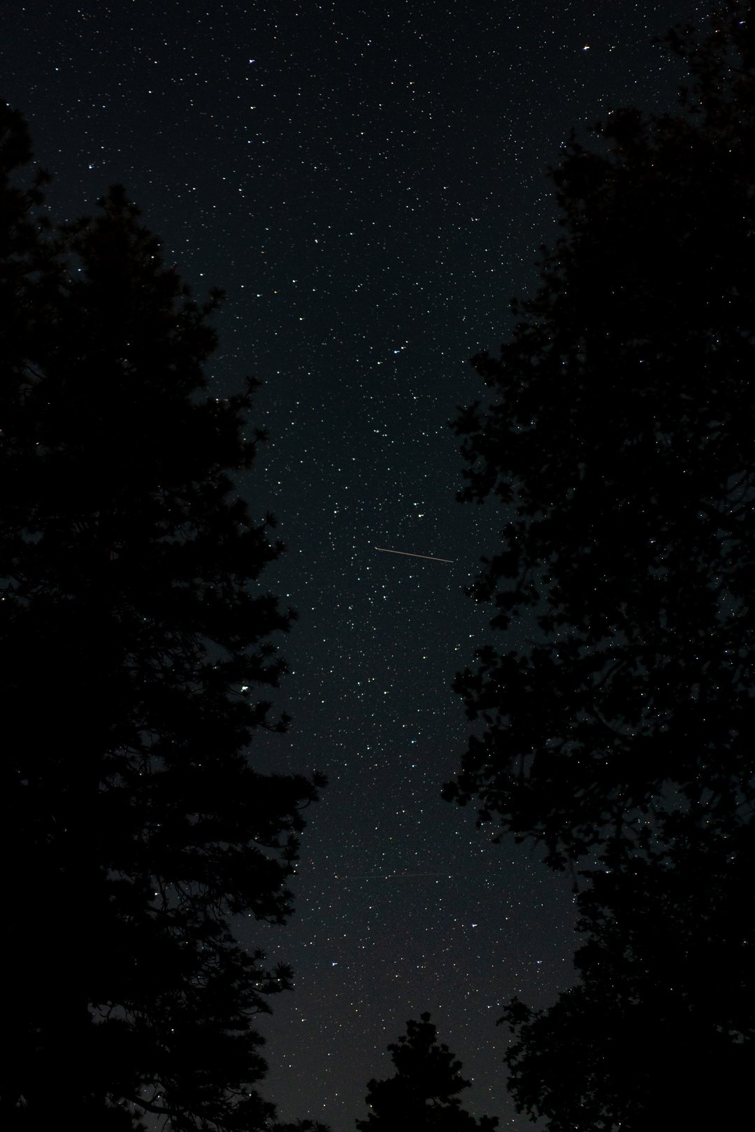 Star gazing — photograph 6