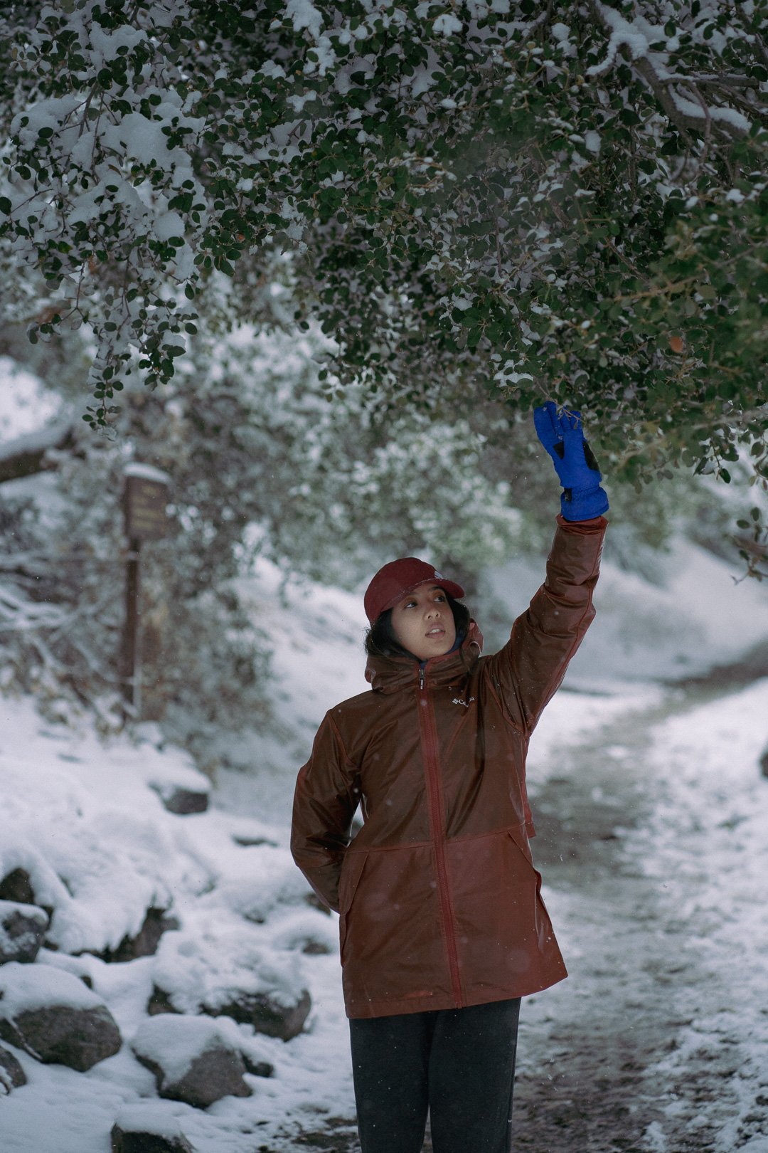 Snow day — photograph 4