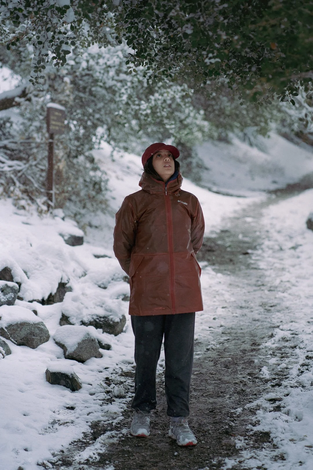 Snow day — photograph 12