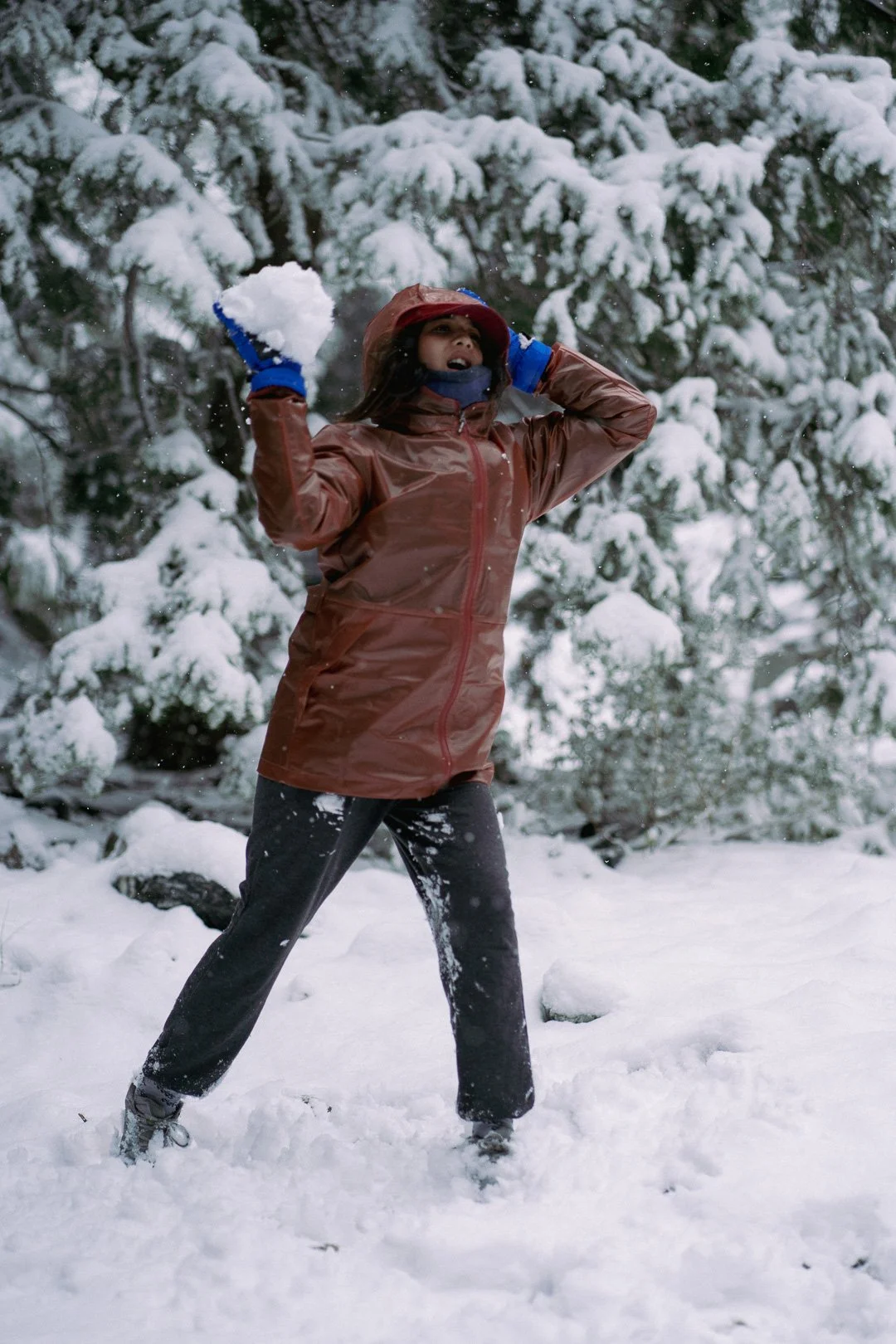 Snow day — photograph 10
