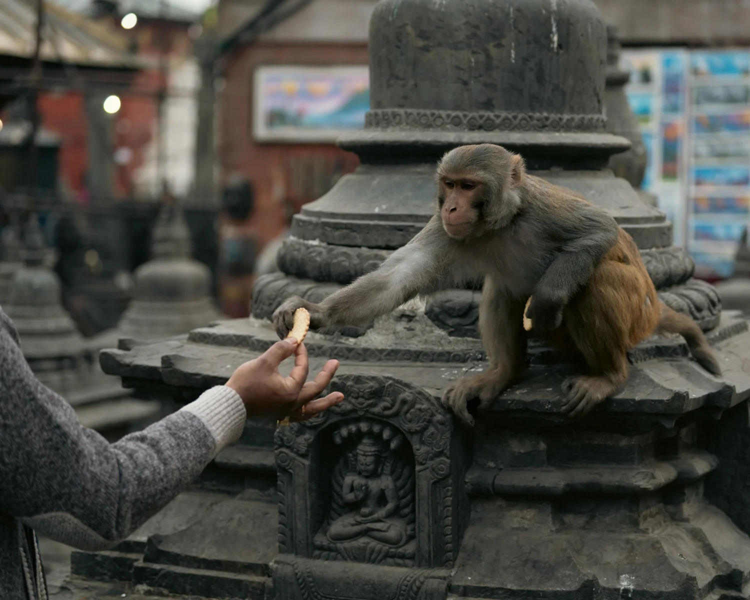 Monkey Temple — Part I — photograph 28