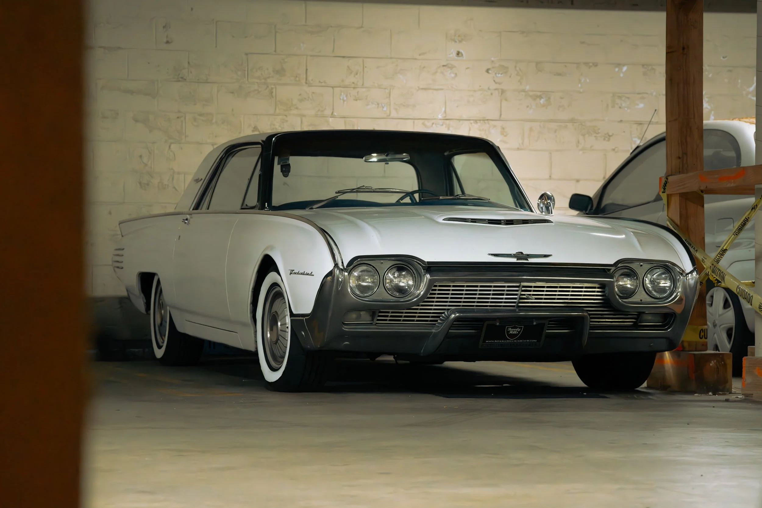T-Bird-3.jpg