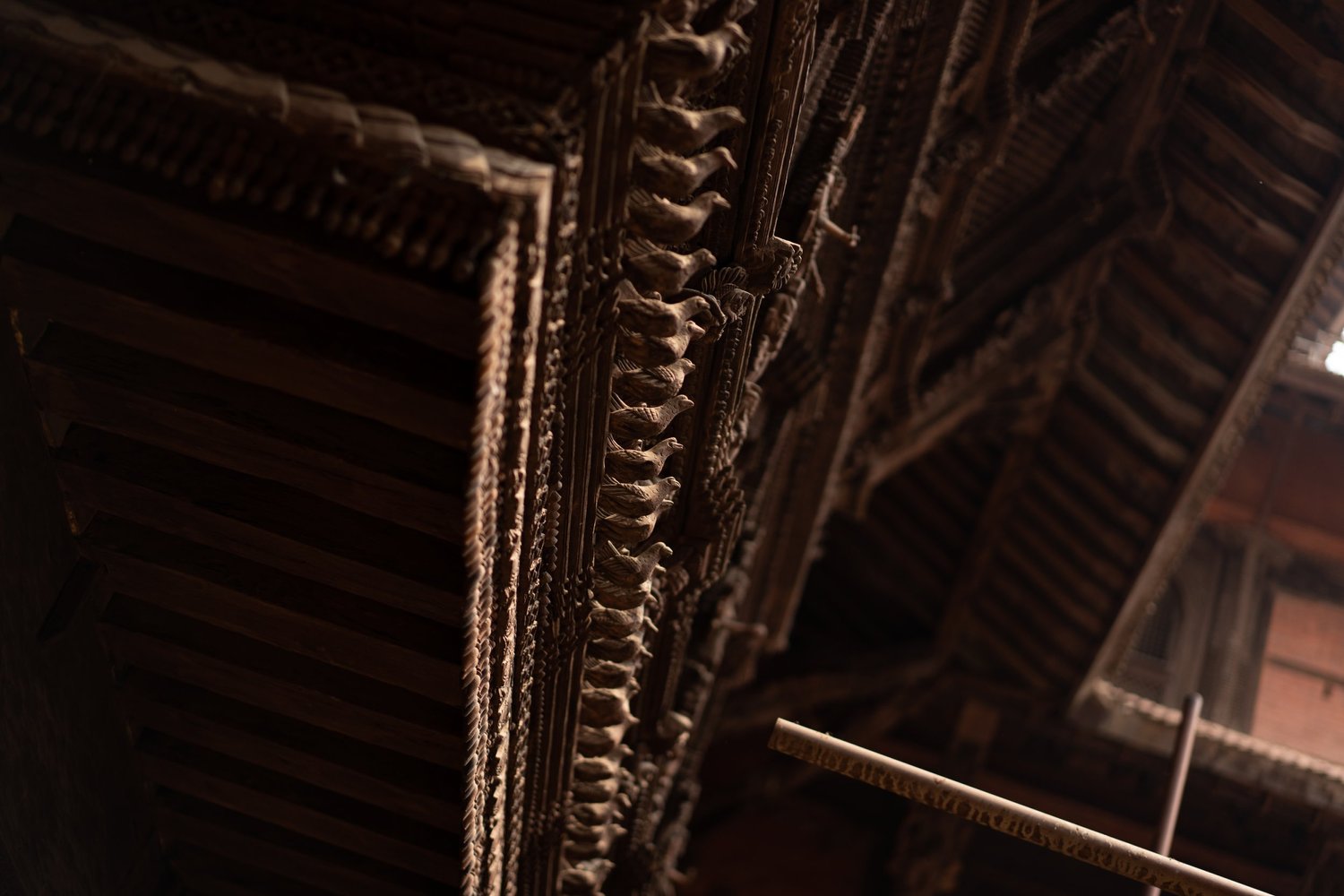 Nepal — photograph 9