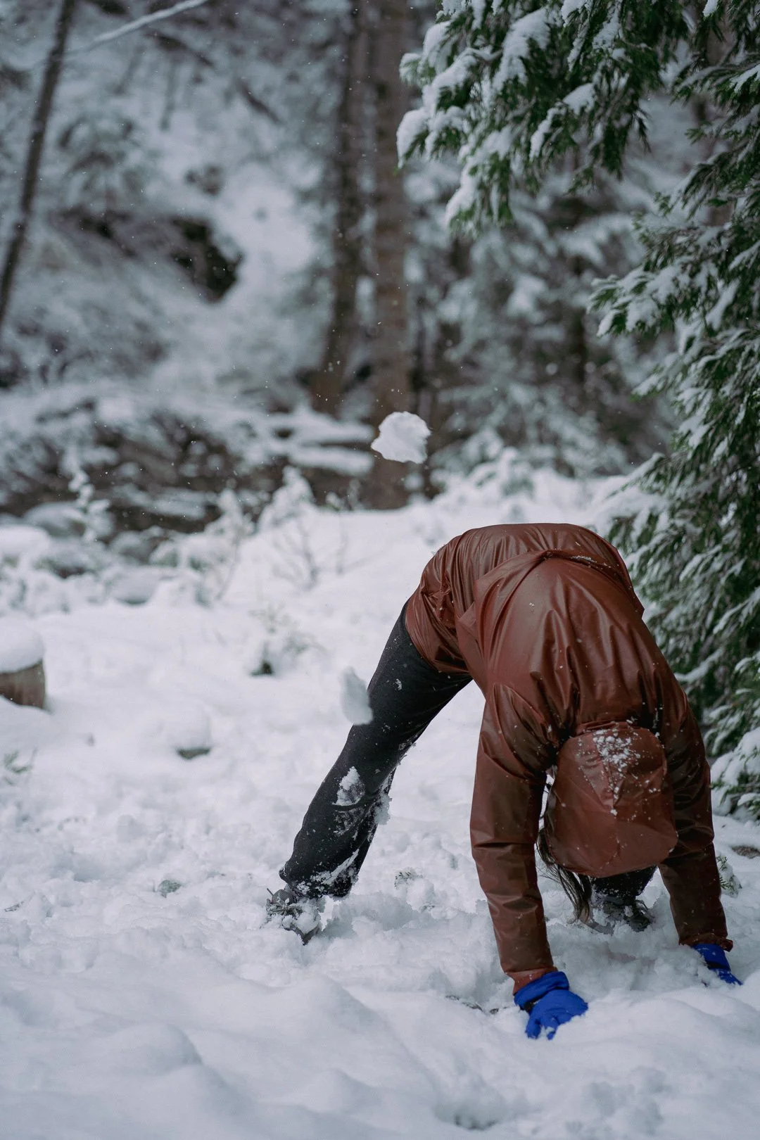 Snow day — photograph 11