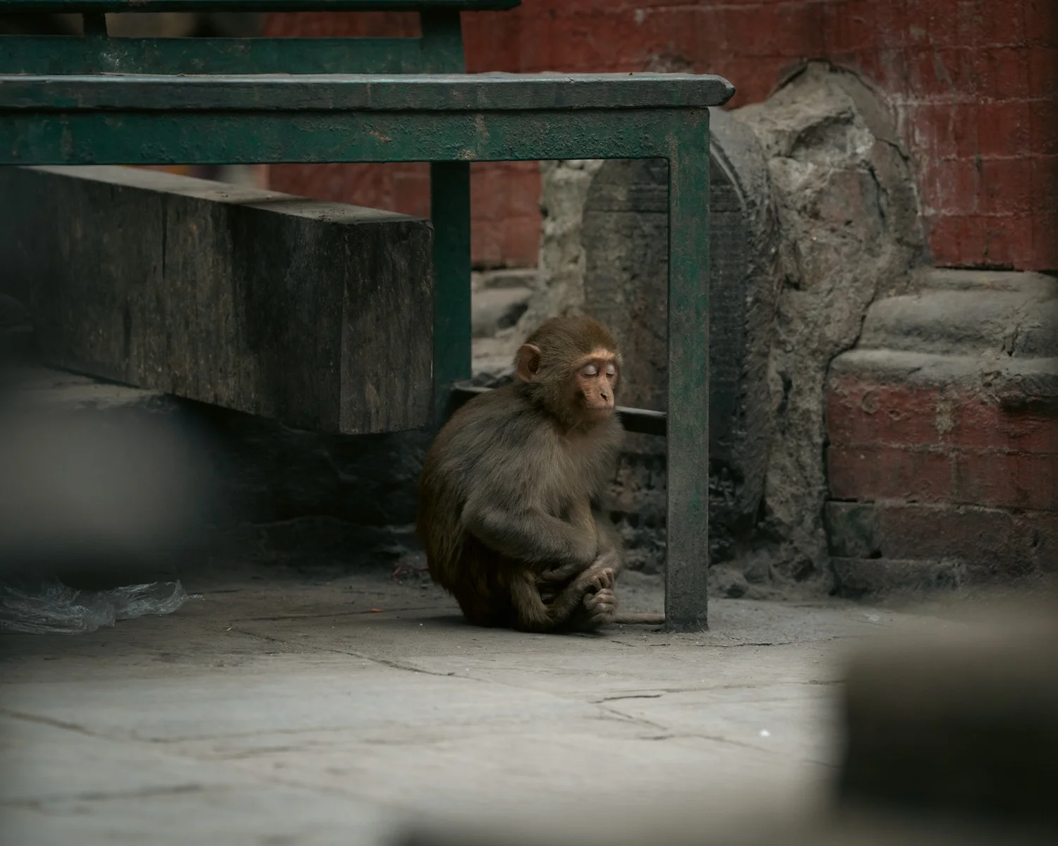 Monkey Temple — Part I — photograph 2