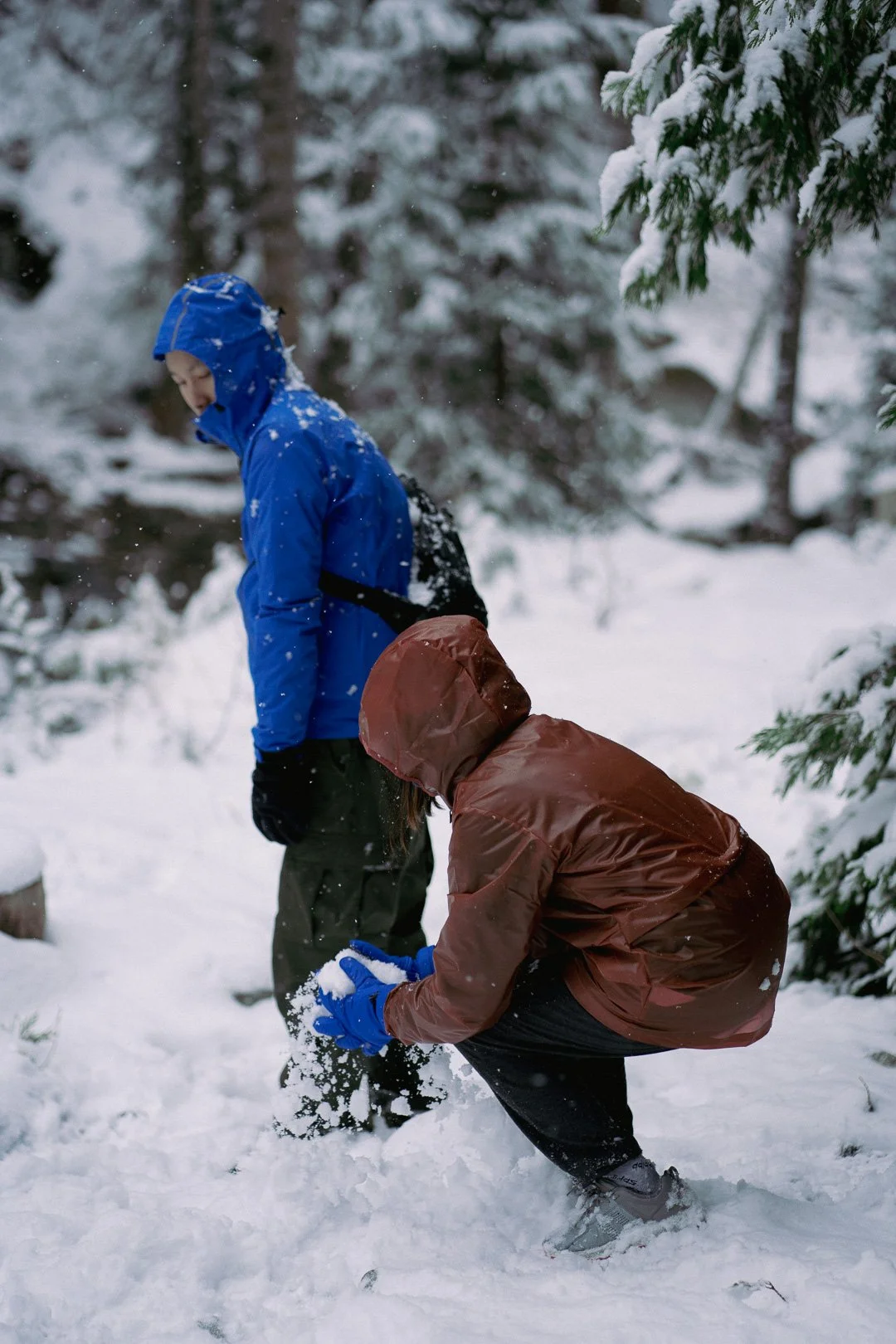 Snow day — photograph 5
