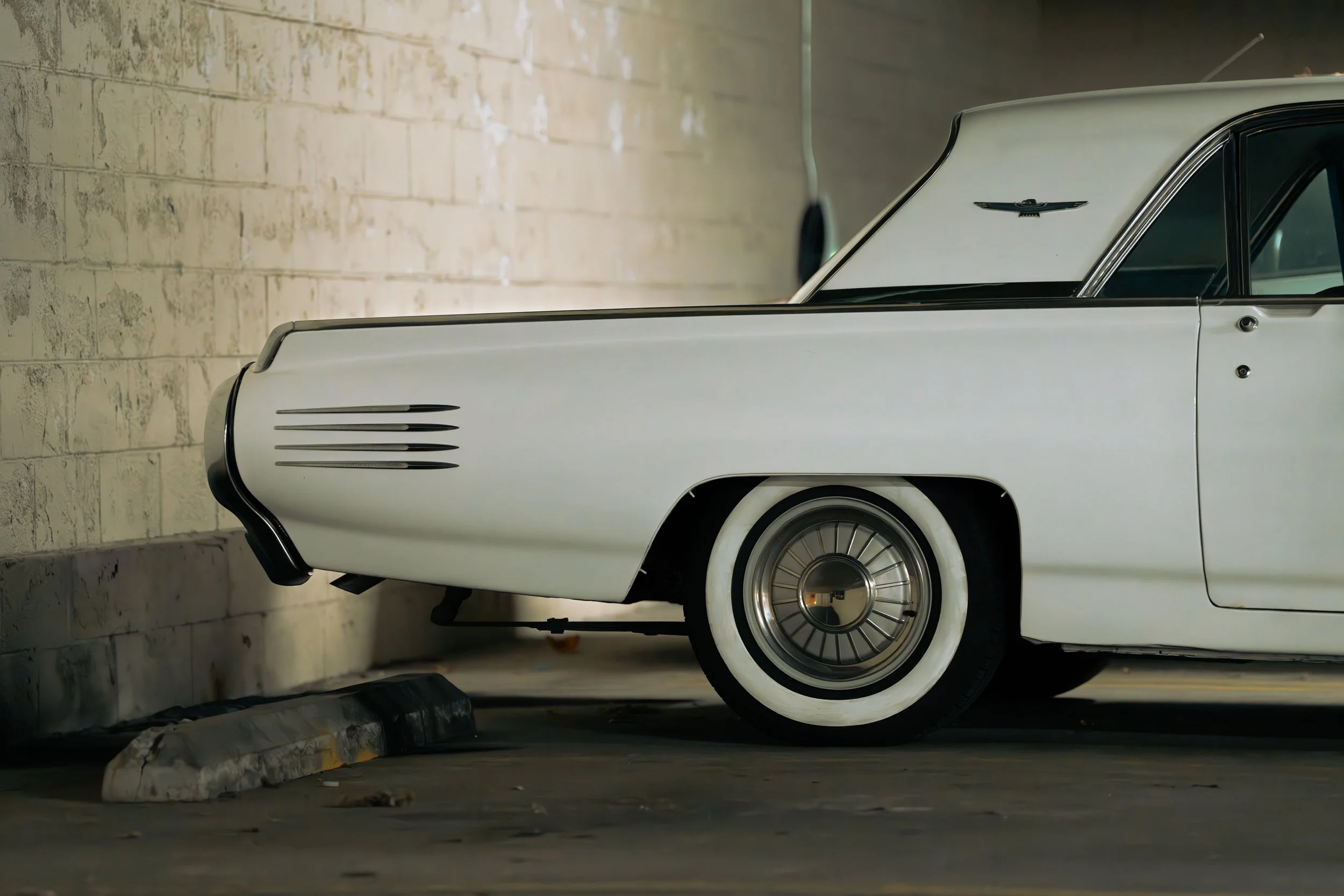 T-Bird-5.jpg
