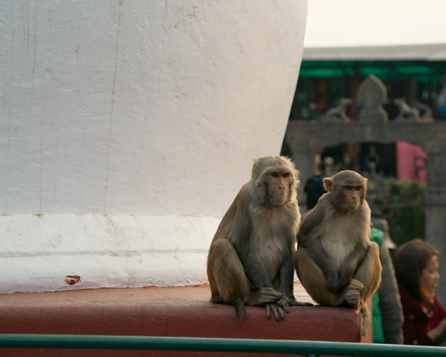 Monkey Temple — Part III — photograph 2