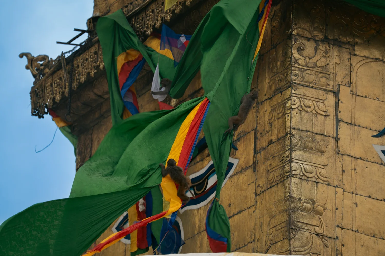 Monkey Temple — Part I — photograph 31