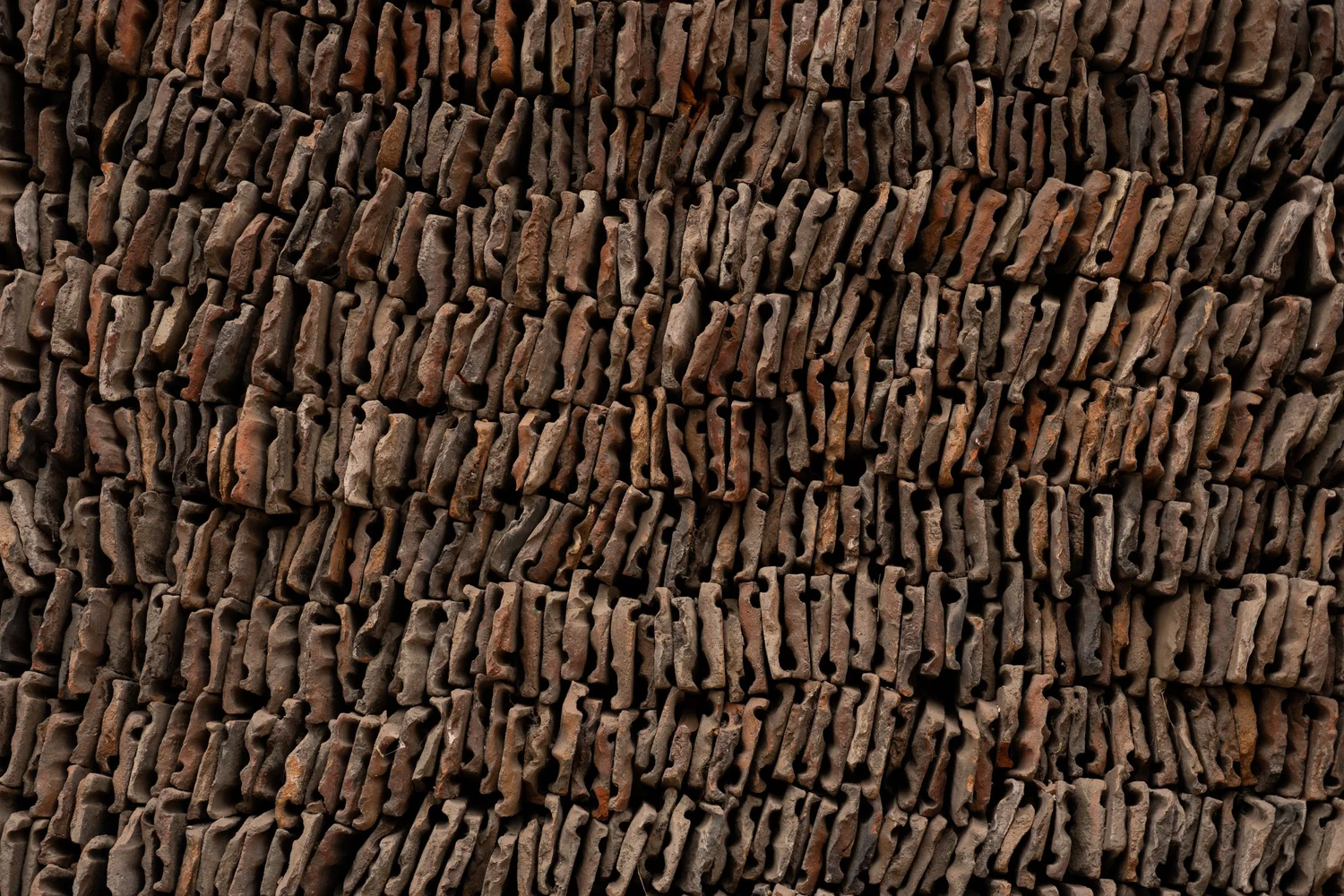 Nepal — photograph 4