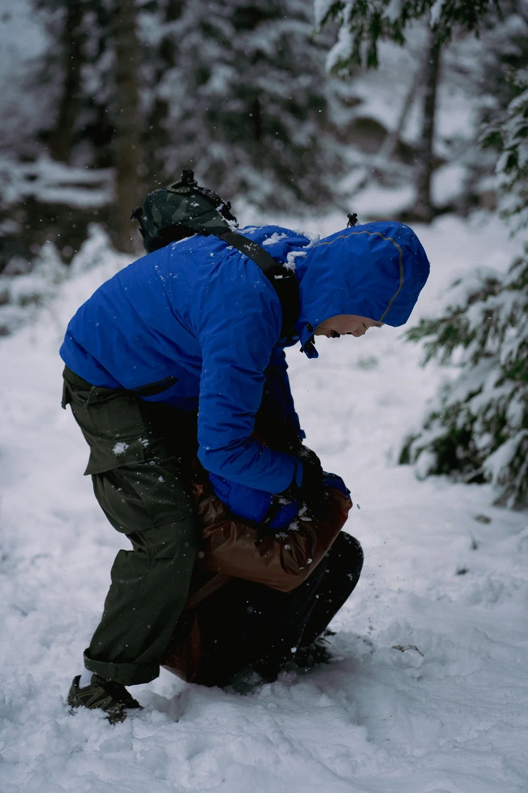 Snow day — photograph 8