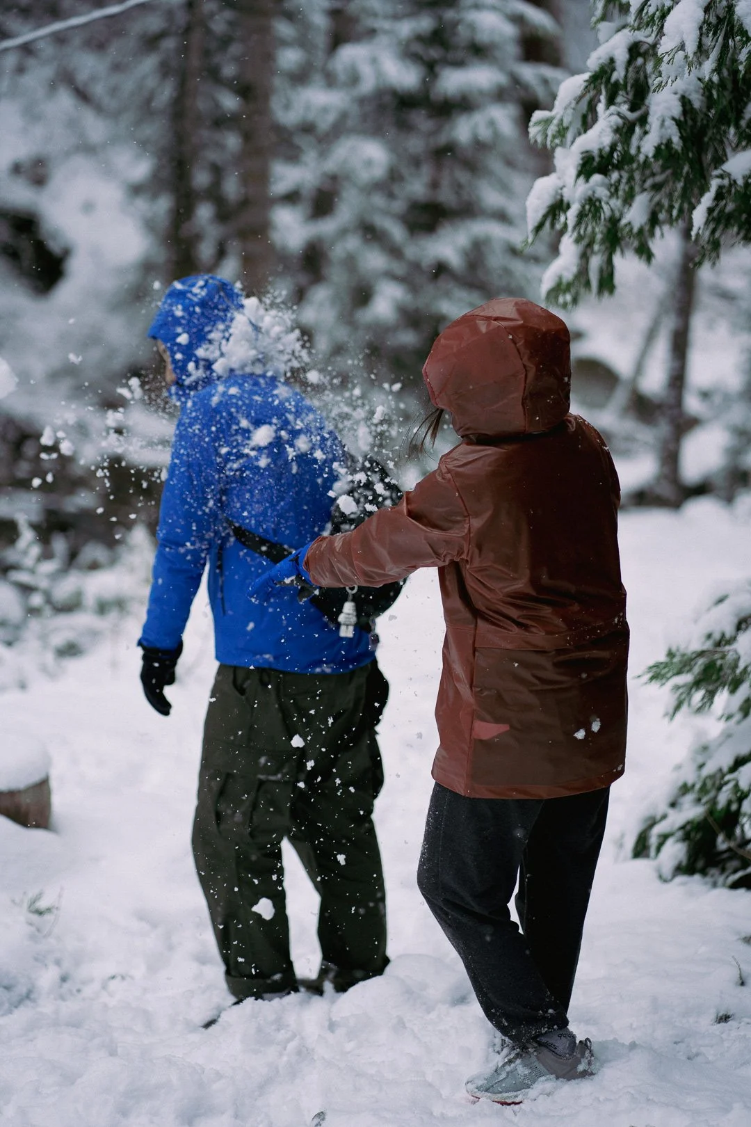 Snow day — photograph 6
