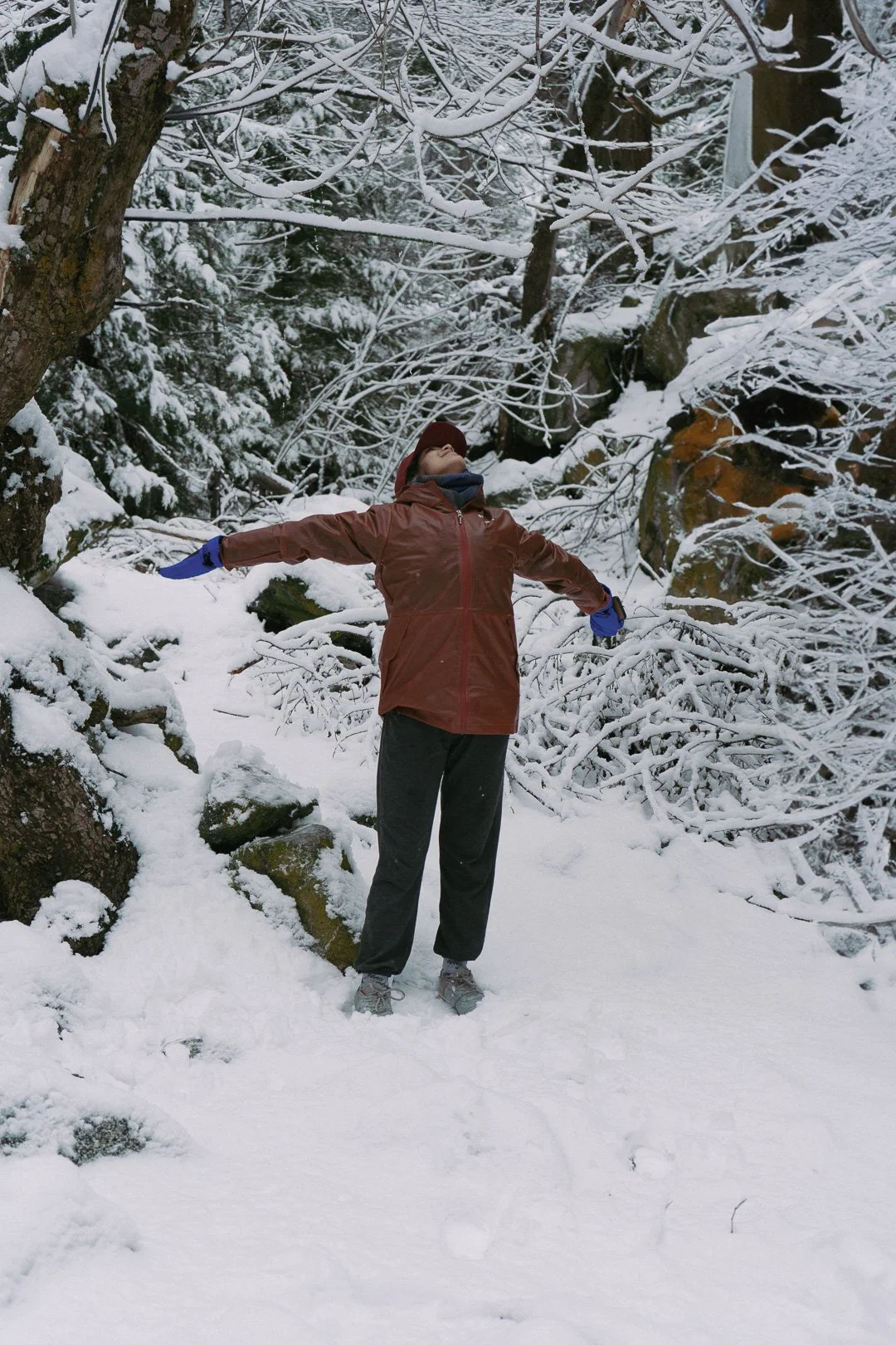 Snow day — photograph 1