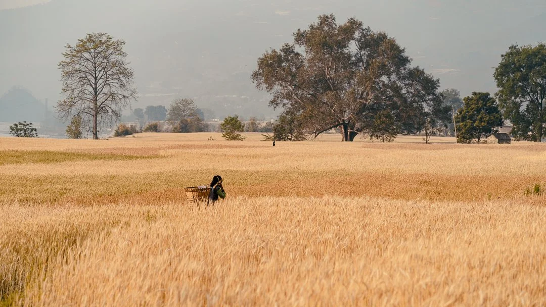 Nepal — photograph 3