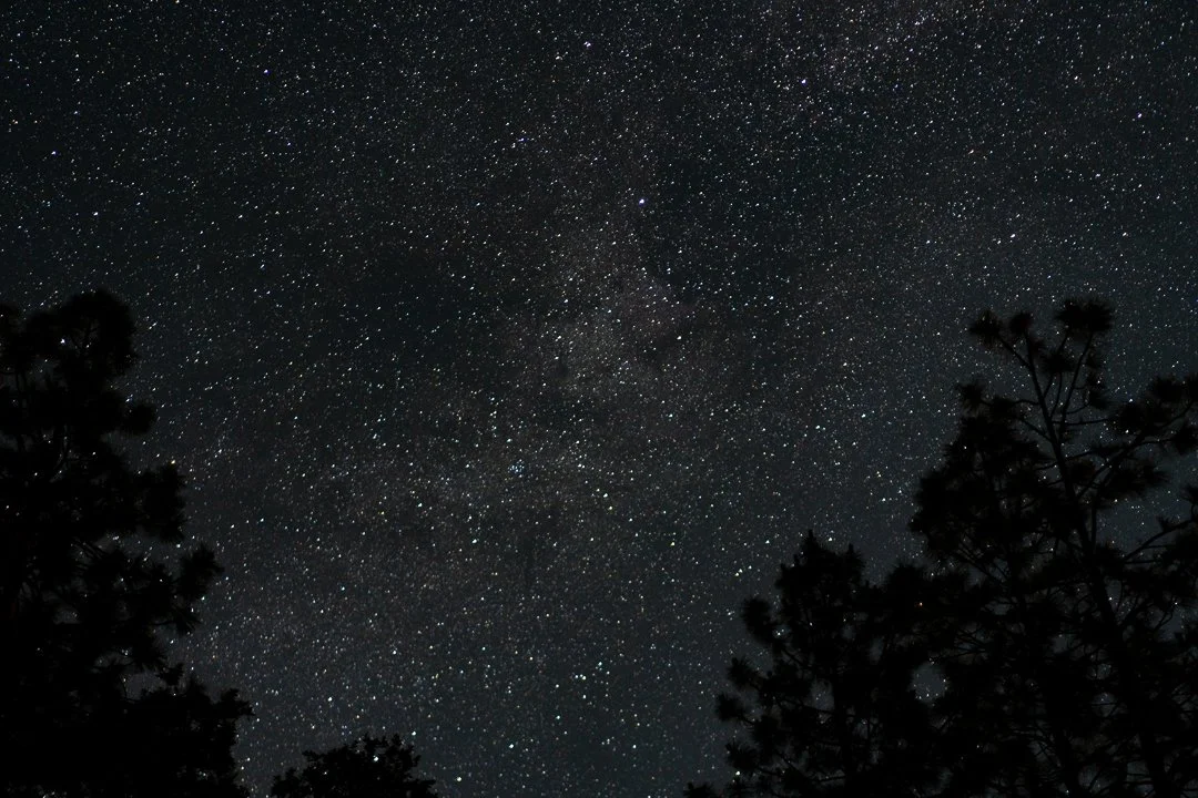 Star gazing — photograph 4