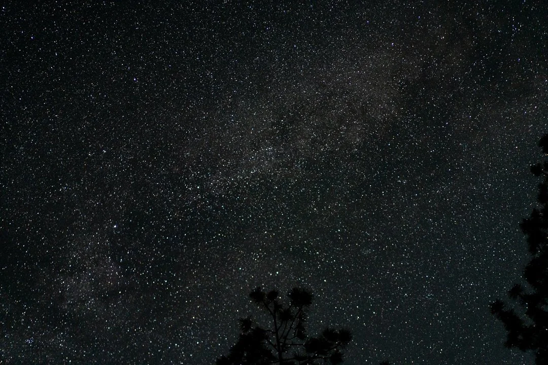 Star gazing — photograph 5