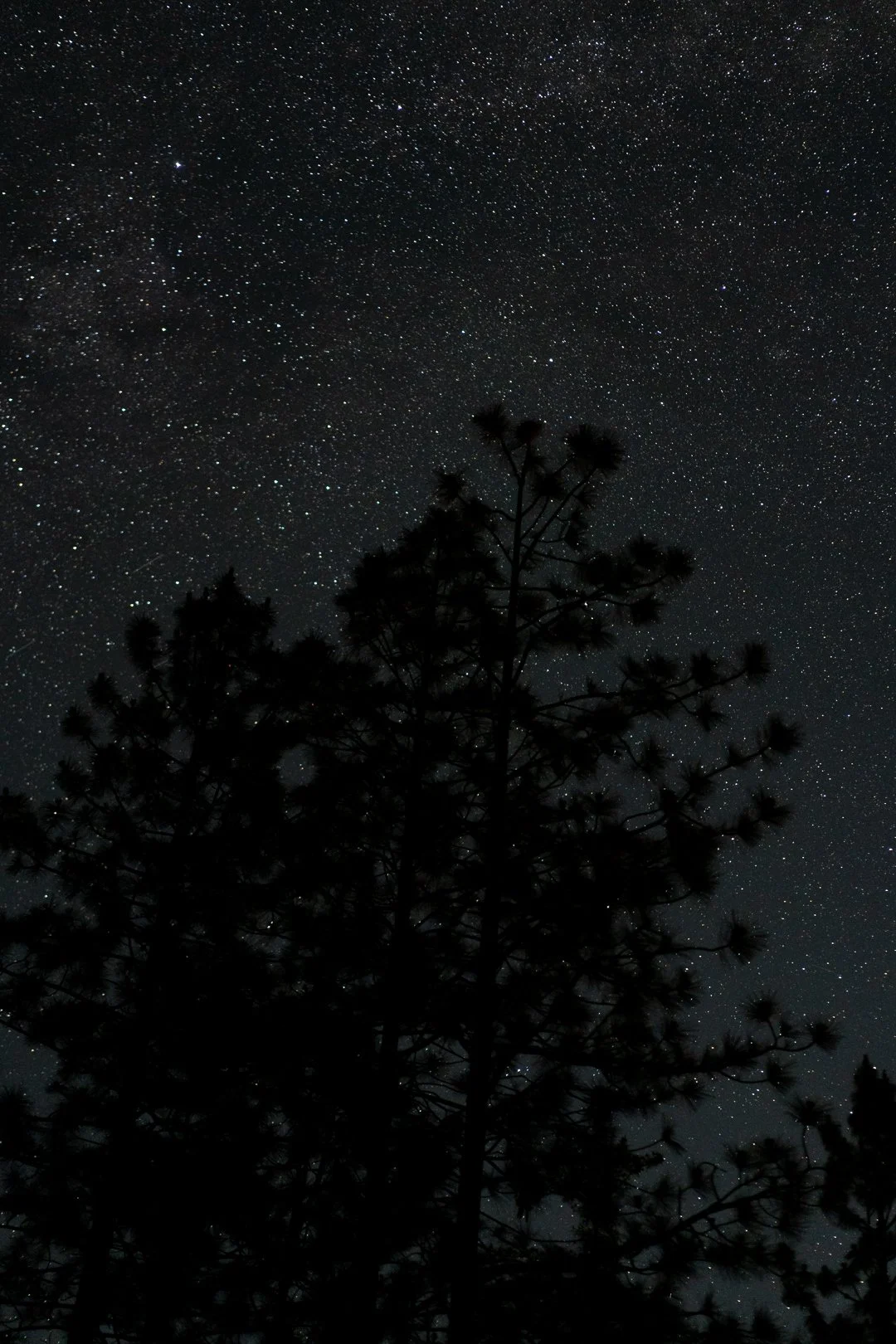 Star gazing — photograph 3
