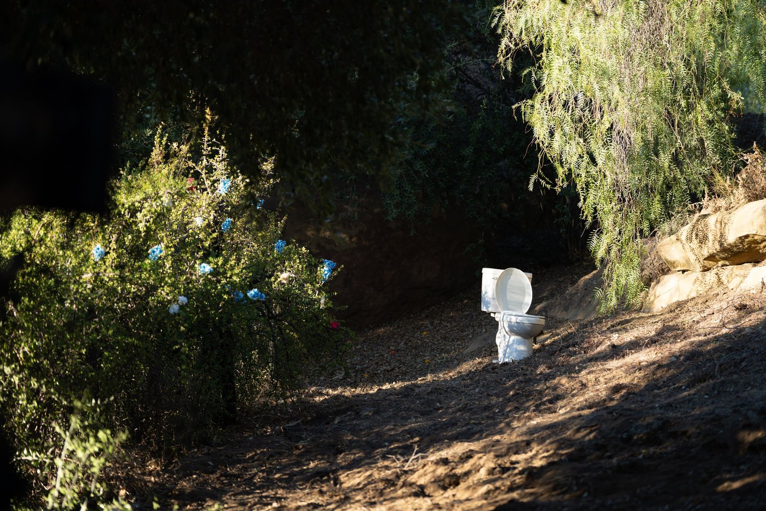 Behind the scenes — LWYD — photograph 65