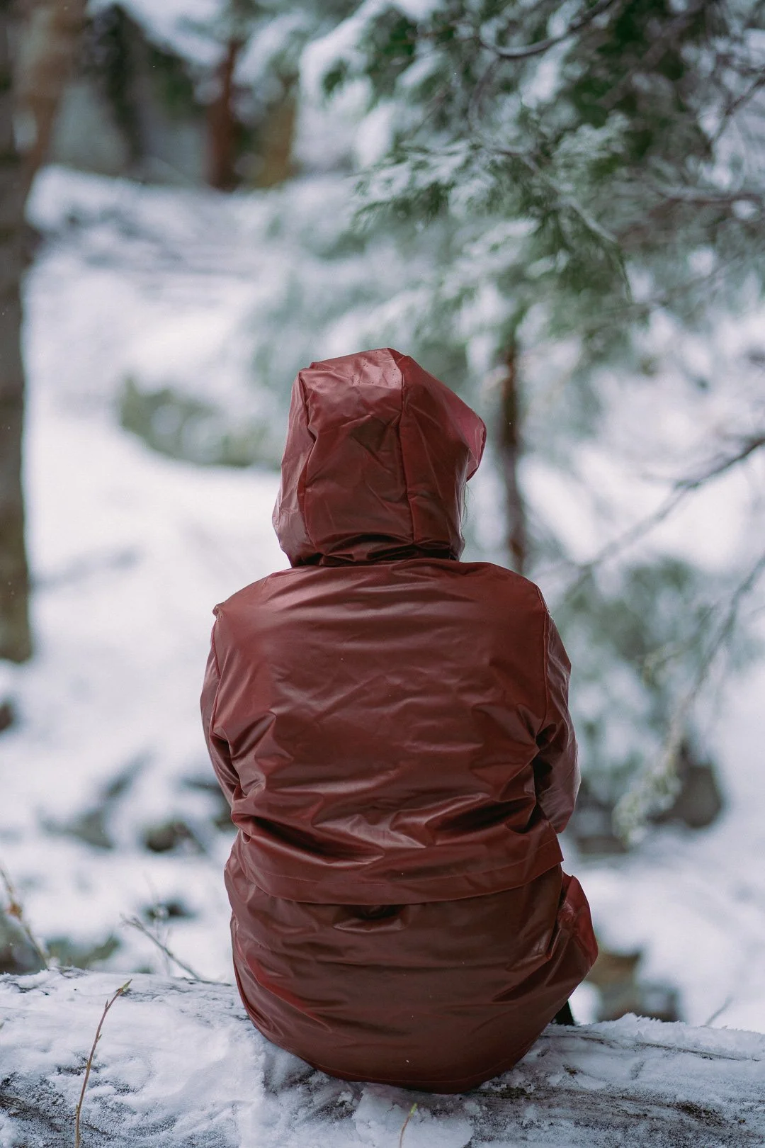 Snow day — photograph 13