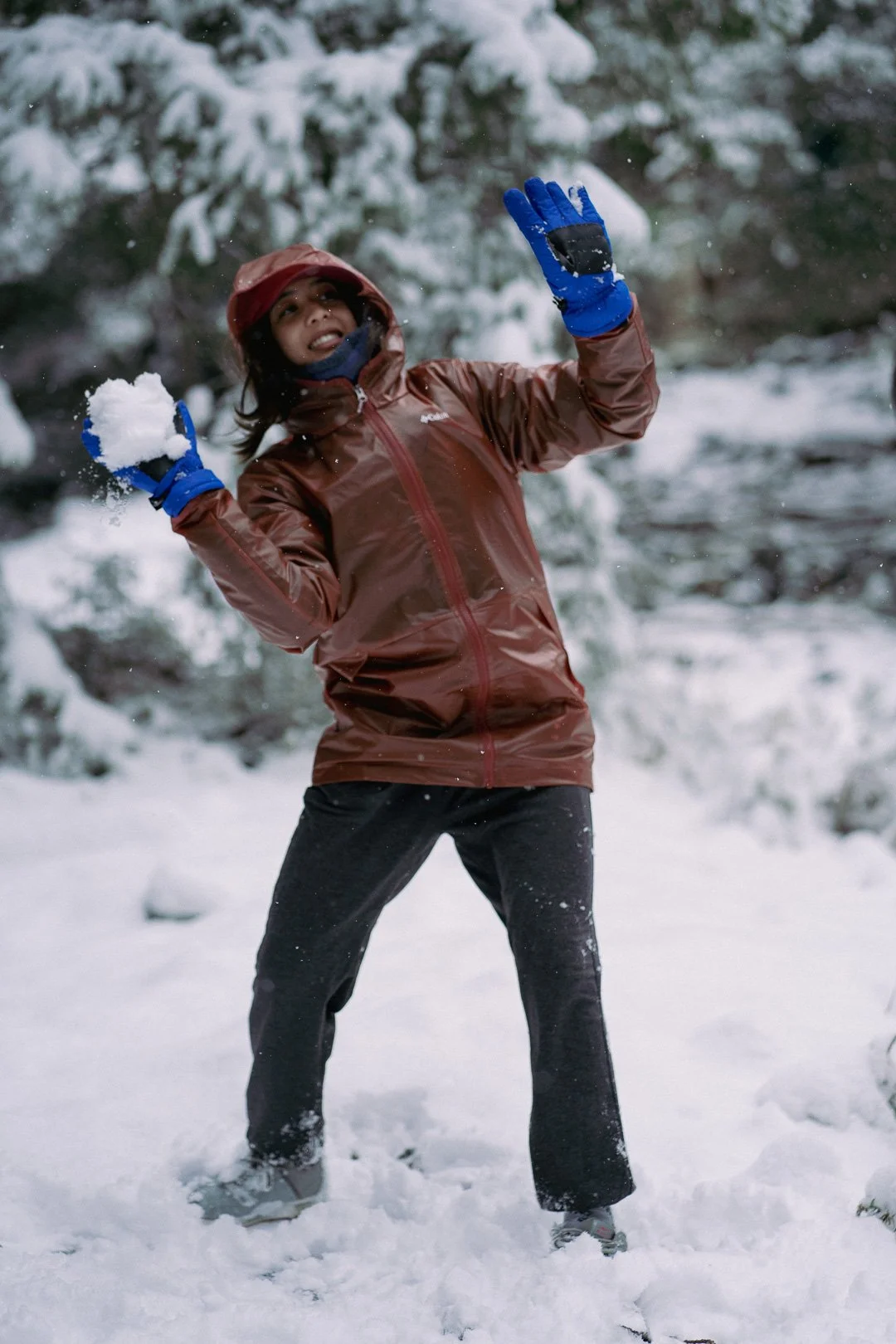 Snow day — photograph 9