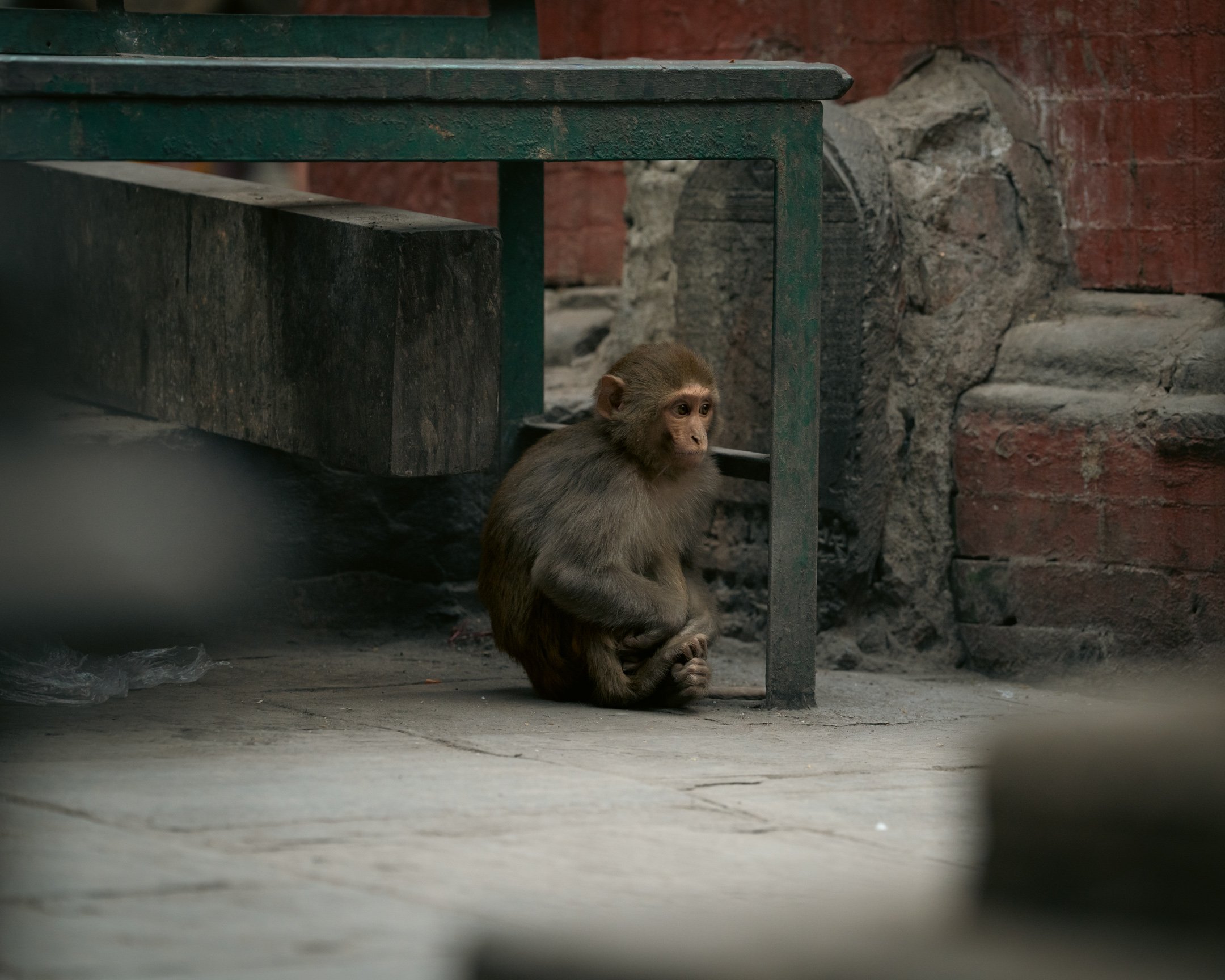 Swayambhu | Monkey Temple PT. 1