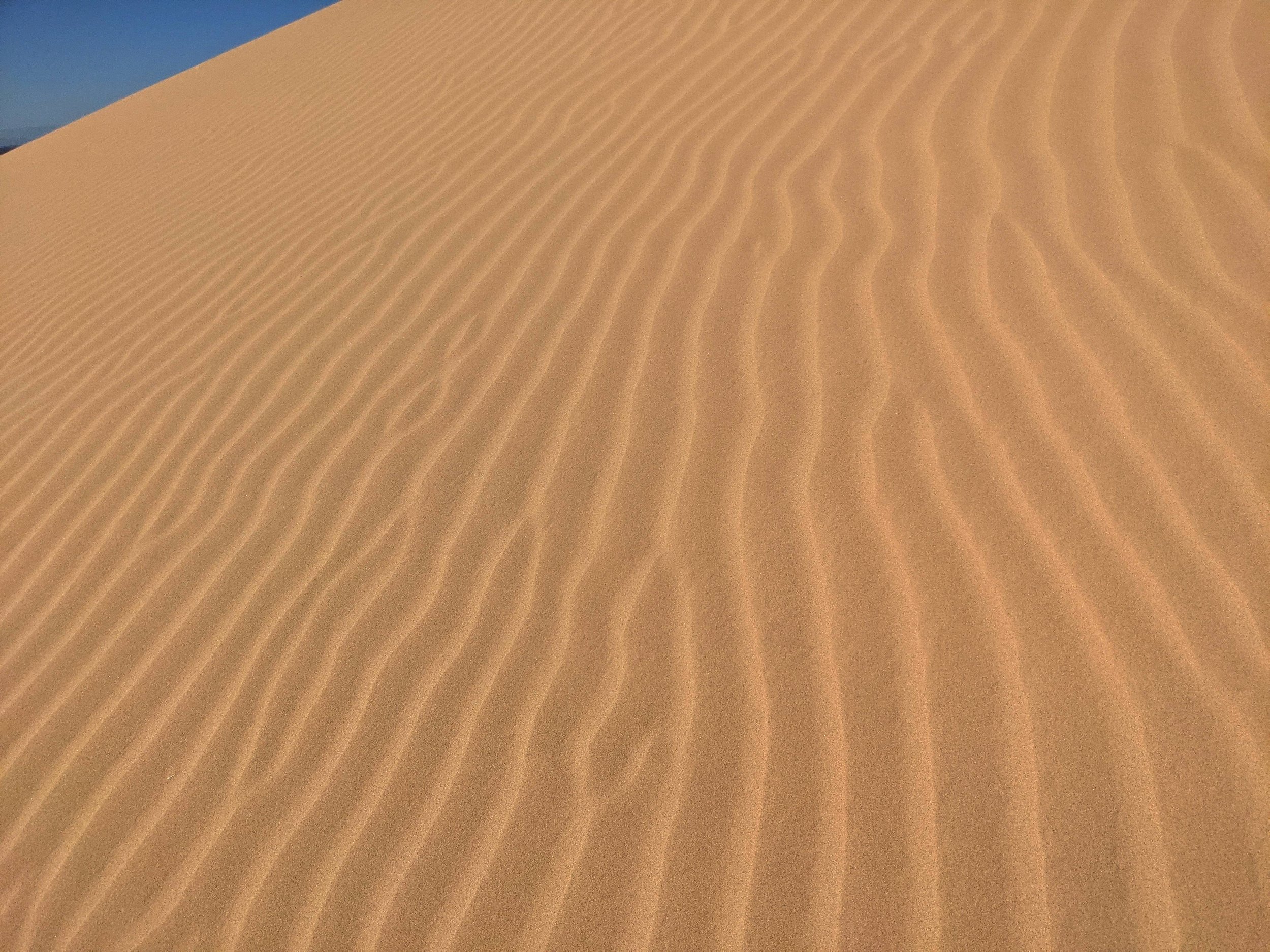 California-Sand-Dune-Texture-Up-Close.jpg