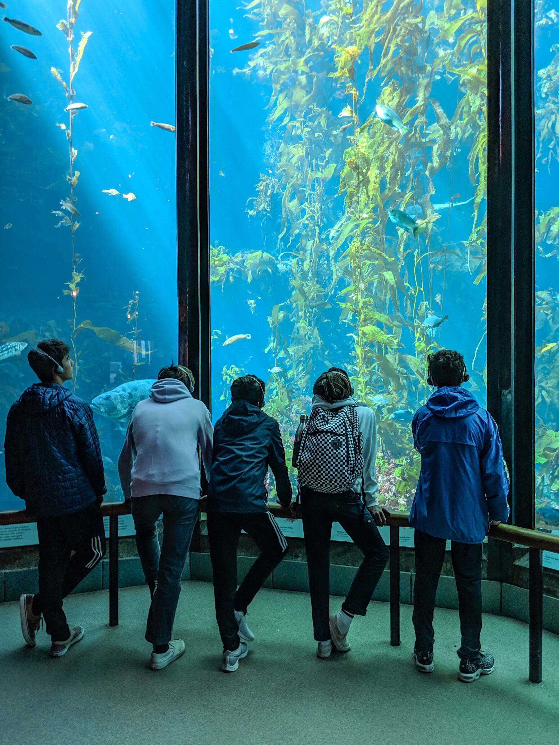 Students-at-Monterey-Bay-Aquarium-Verticle.jpg
