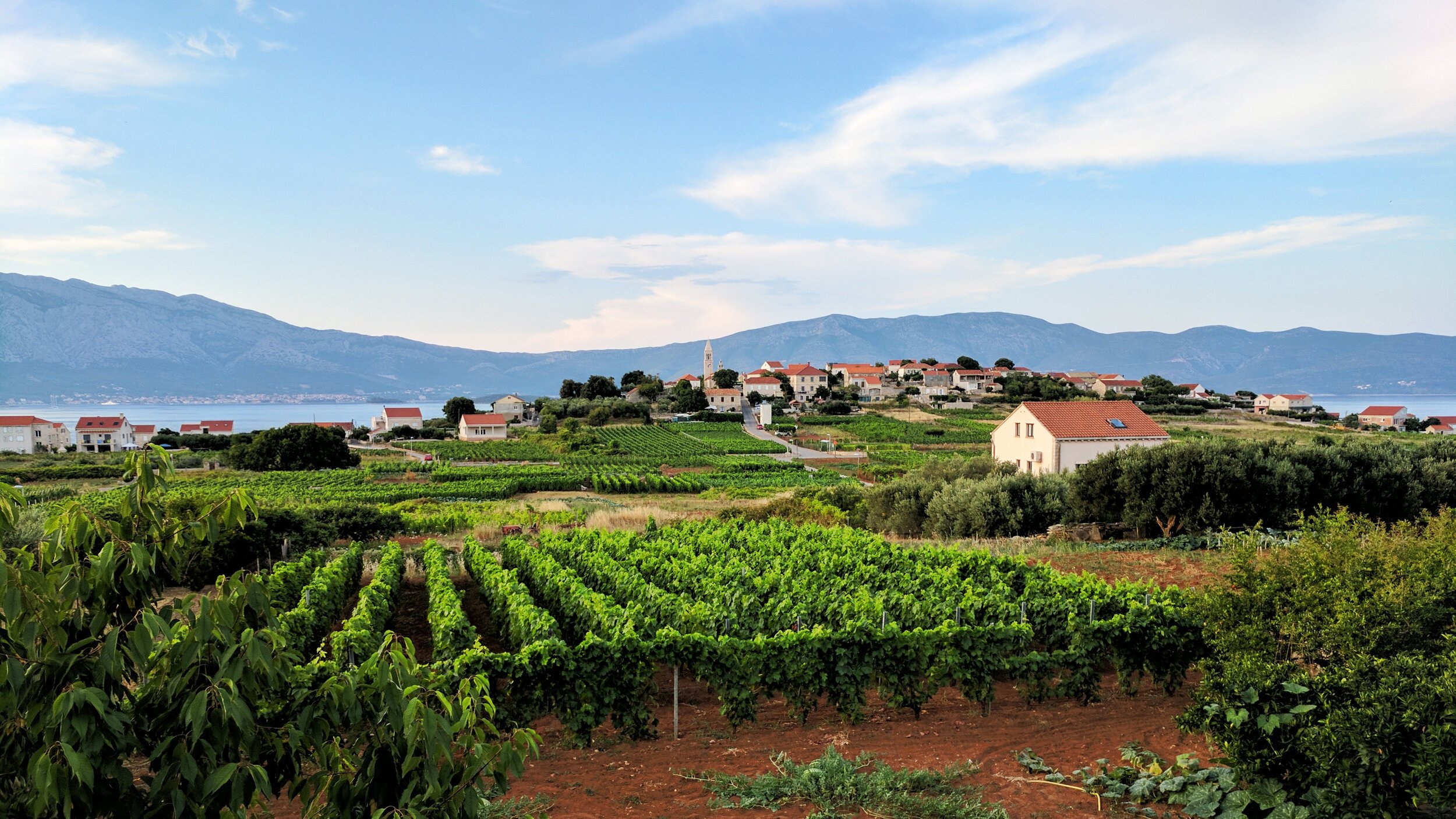 Lumbarda-Vineyards-and-Town-Croatia.jpg