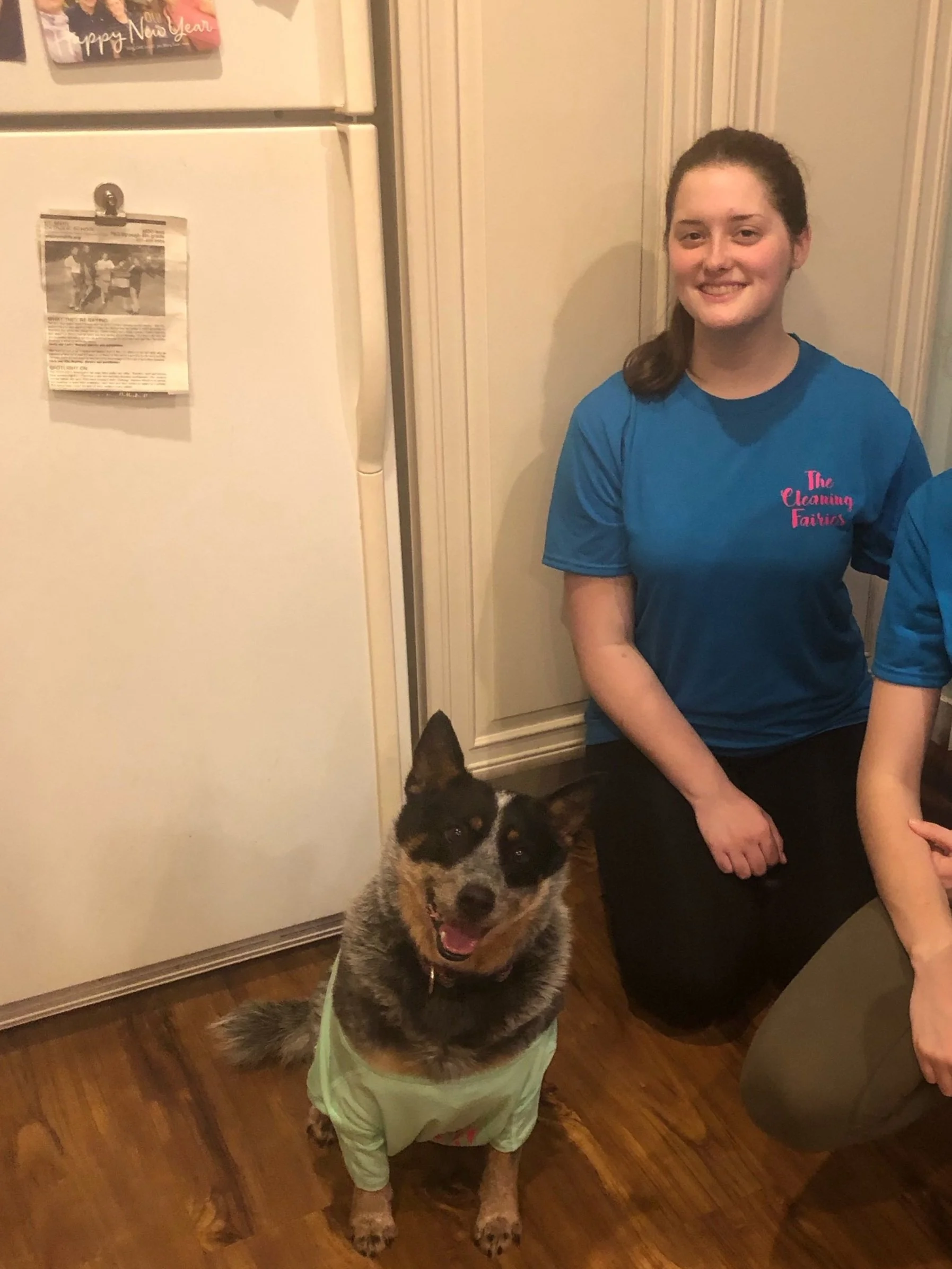 medium size brown dog with white 20 year old female 