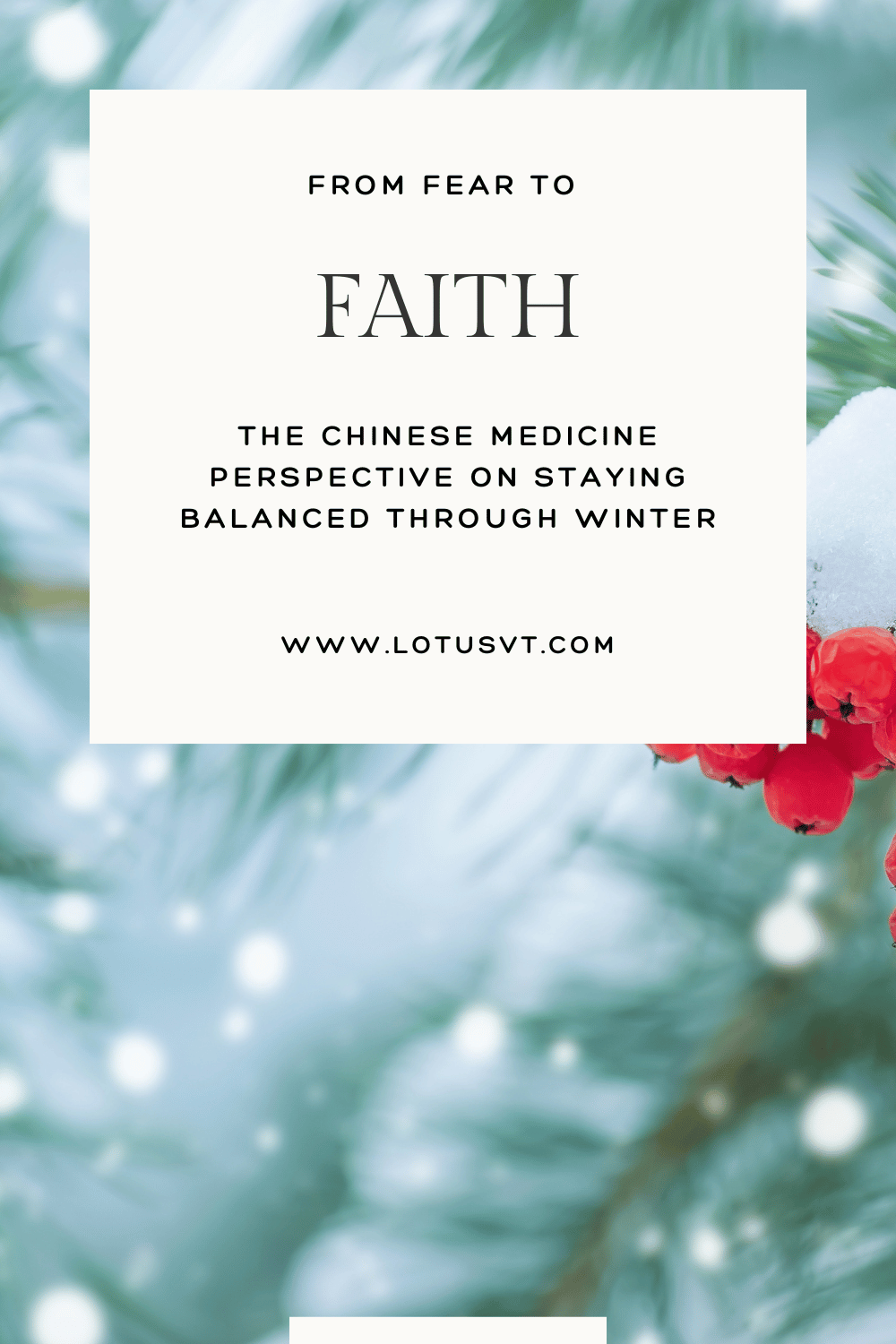 From Fear to Faith: The Chinese Medicine Perspective on Staying Balanced through Winter
