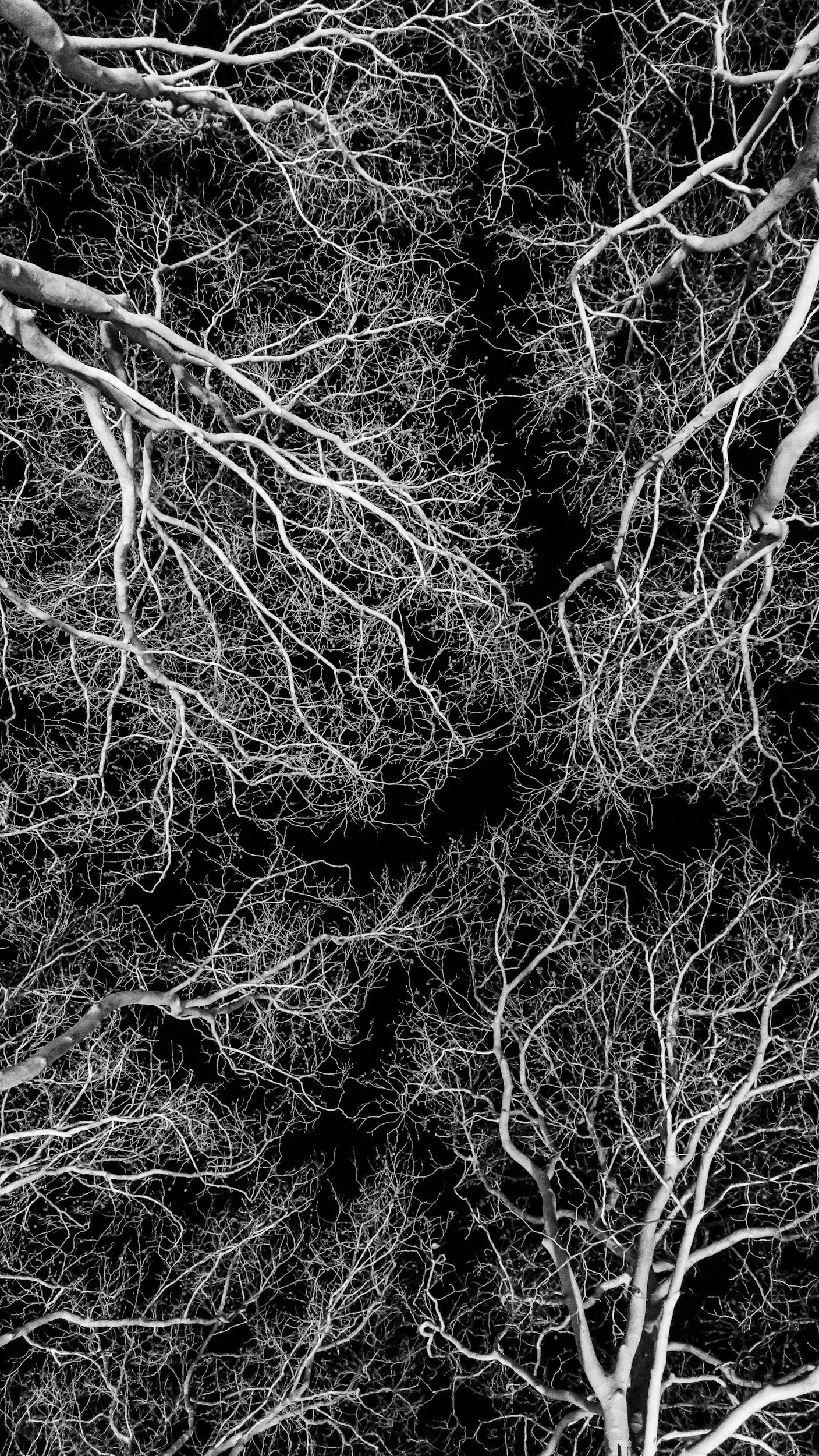 Heal the root causes of nervous system dysregulation
