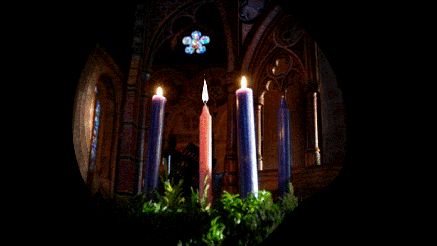 Pink Candle on an Advent Wreath