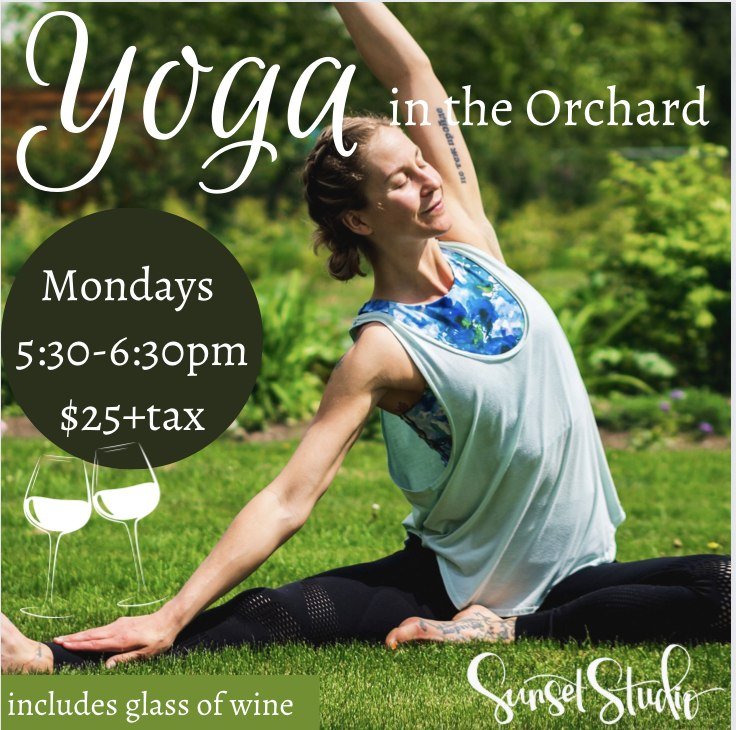 🎉Its BACK🎉

MAY 13th and every Monday until August 26th

🌸Yoga in the Orchard🍷 Mondays 5:30-6:30pm $25+tax includes glass of wine

Join Rachelle for the 7th year of Yoga in the Orchard.  An all levels flow at Northern Lights Estate Winery.  Feel 