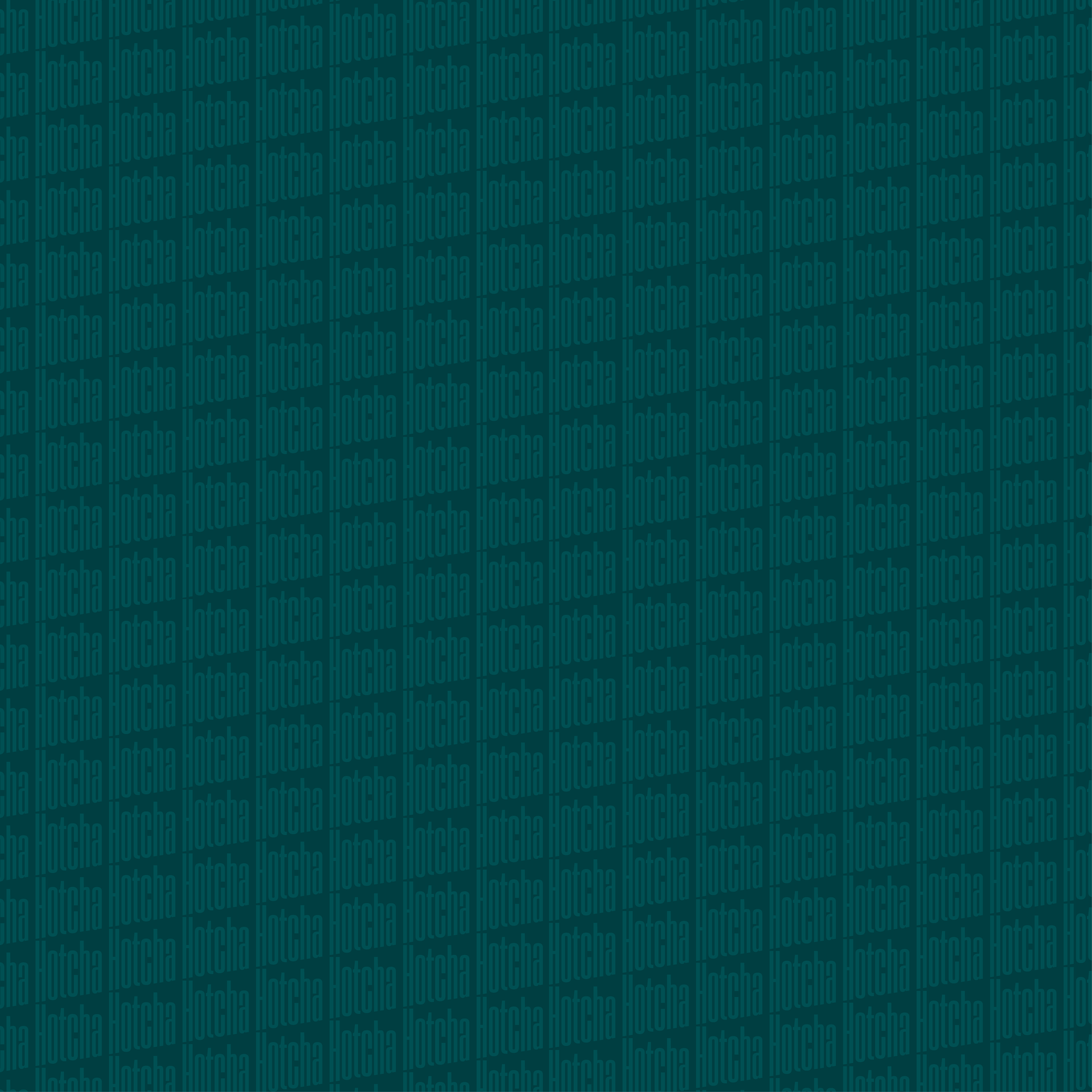 Hotcha-Pattern-01.png