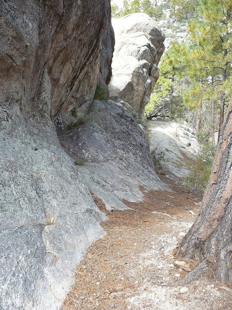 Trial Rocks Wilderness Of Rocks Trail #44 — FRIENDS OF THE SANTA CATALINA TRAILS