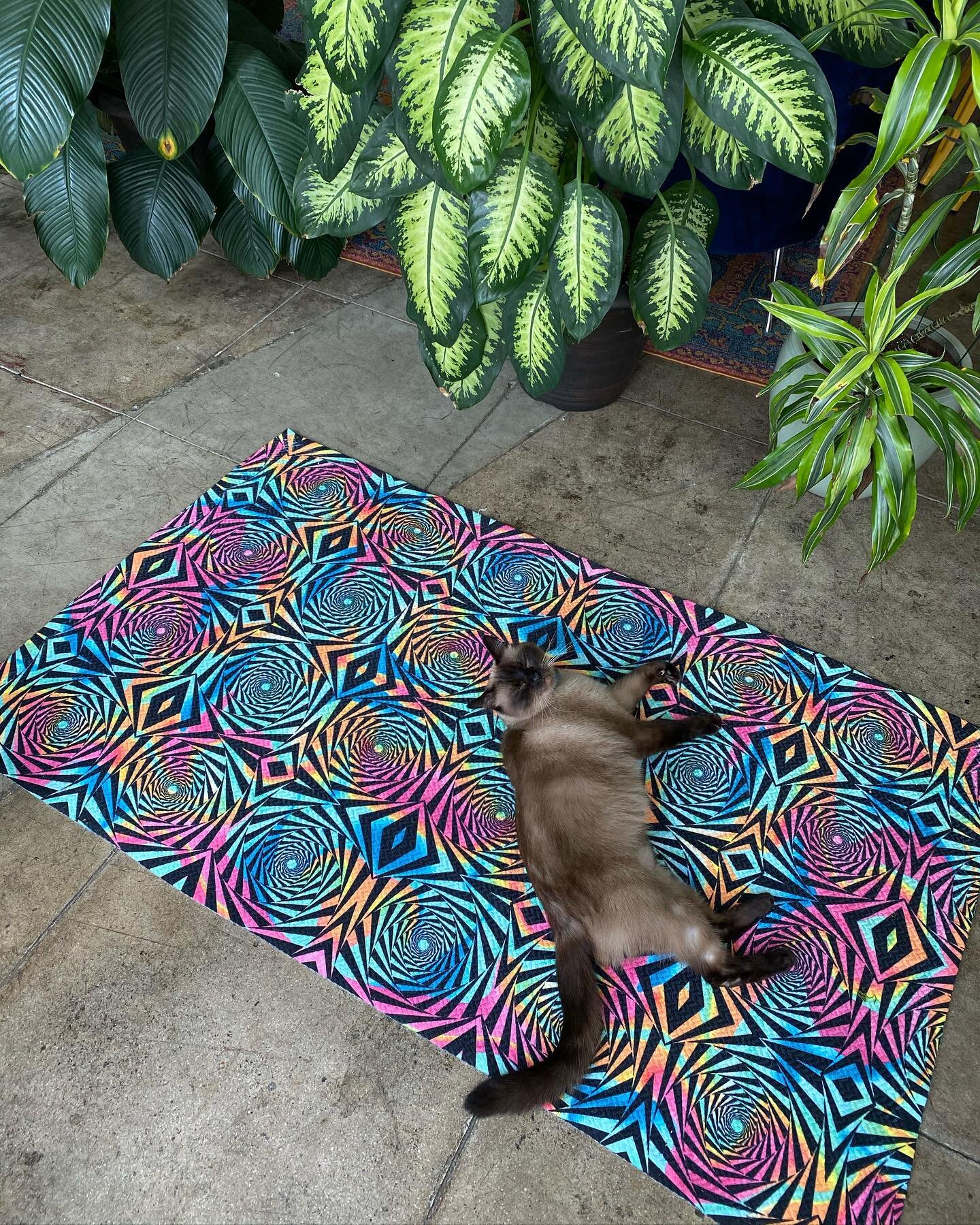 The rugs from our @sacred_g_shop are supper trippy and totally cat approved! 🌺🔮🌚haha! 
.
#psychedelic #trippy #homedecor #geometry #rainbow #rug #catsofistagram #cats #smallbusiness #plants #🌱#decor #trippydesign #trippyart